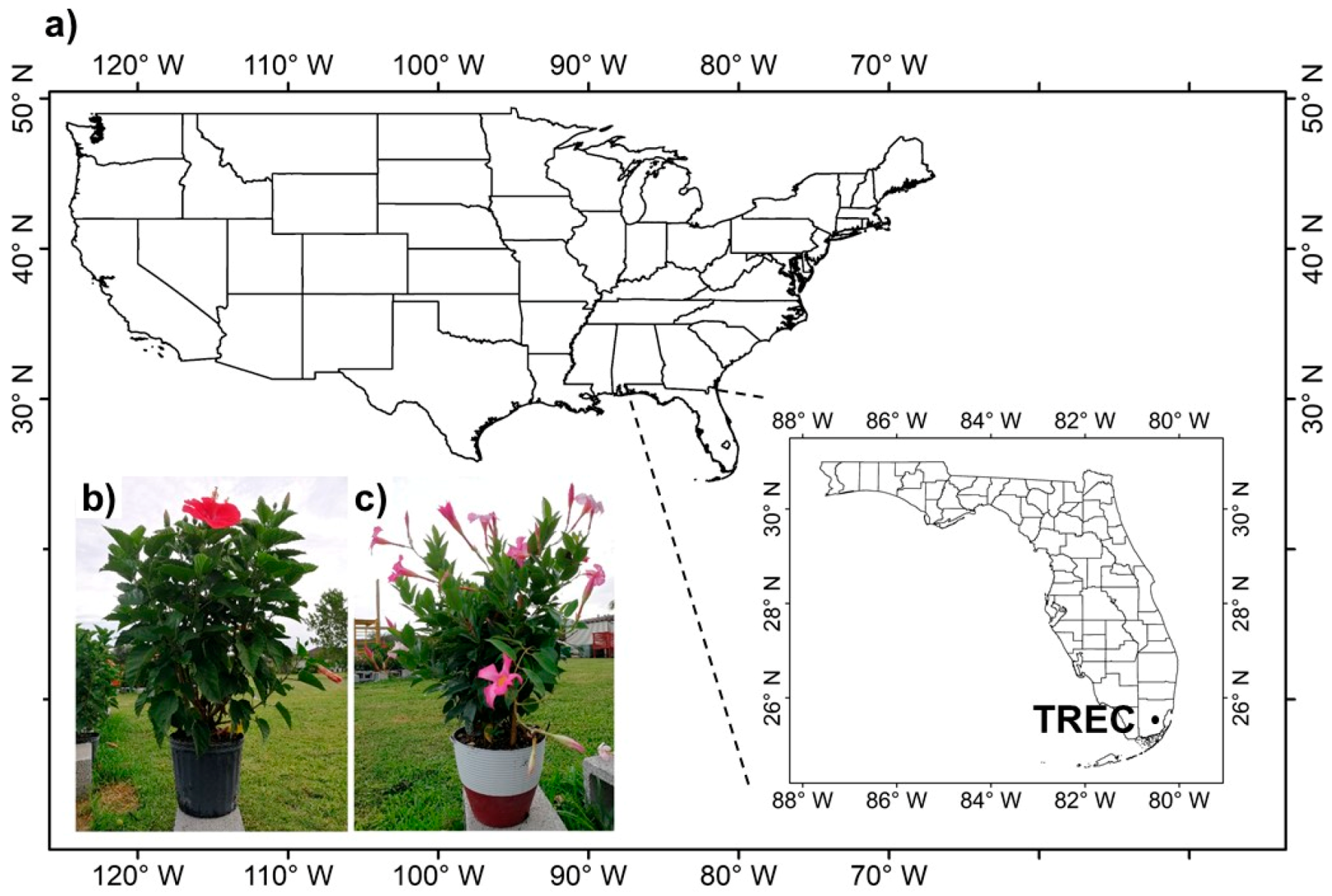 Agronomy 11 00375 g001