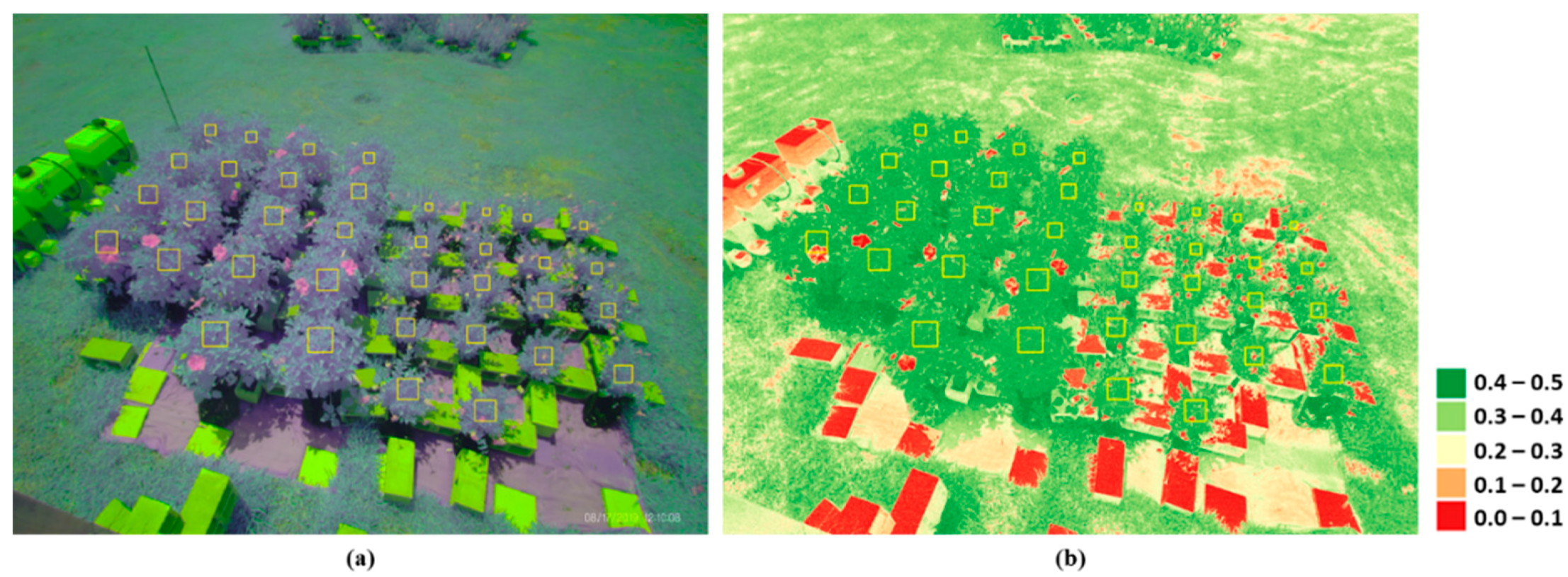 Agronomy 11 00375 g002