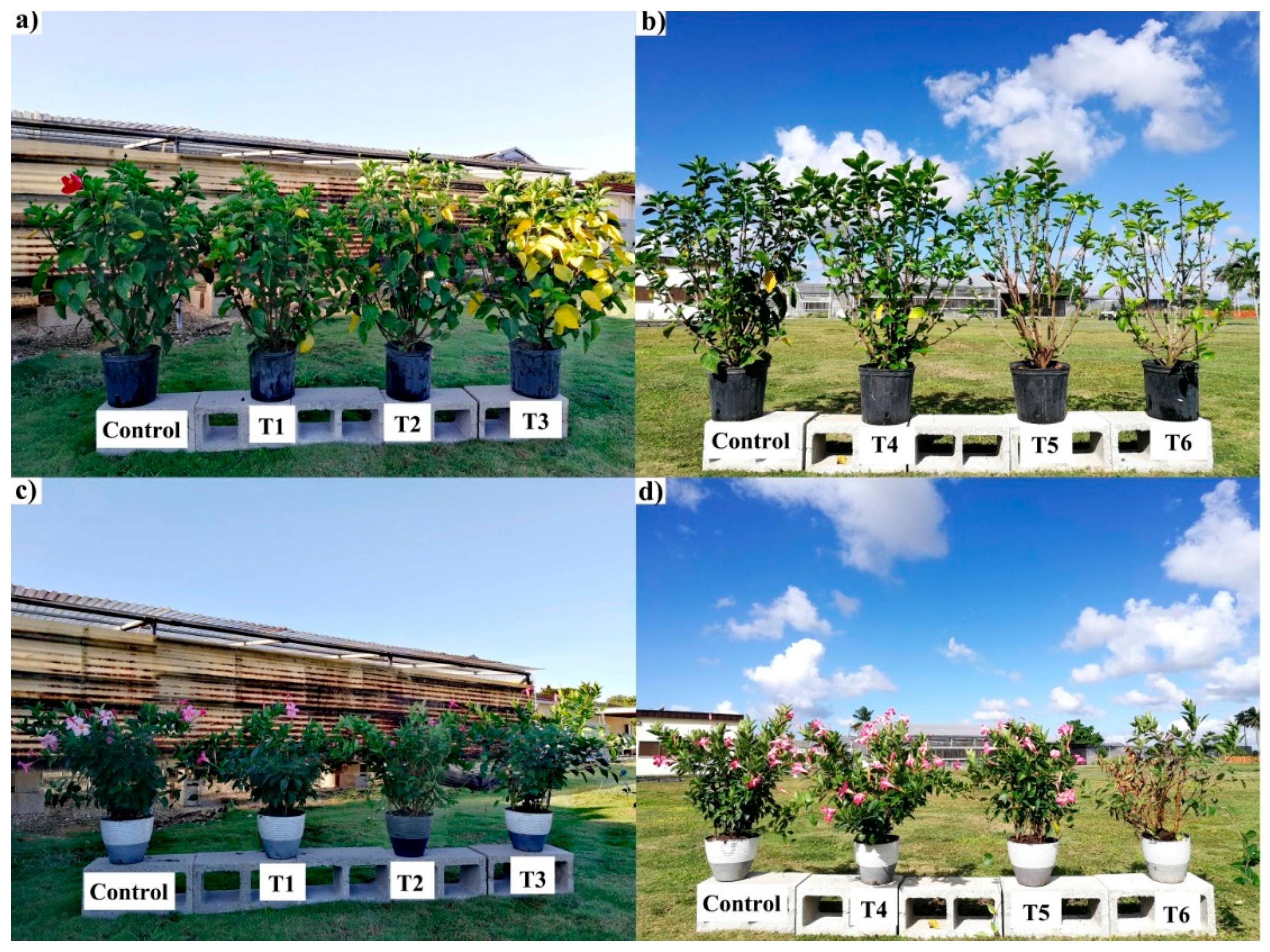 Agronomy 11 00375 g003