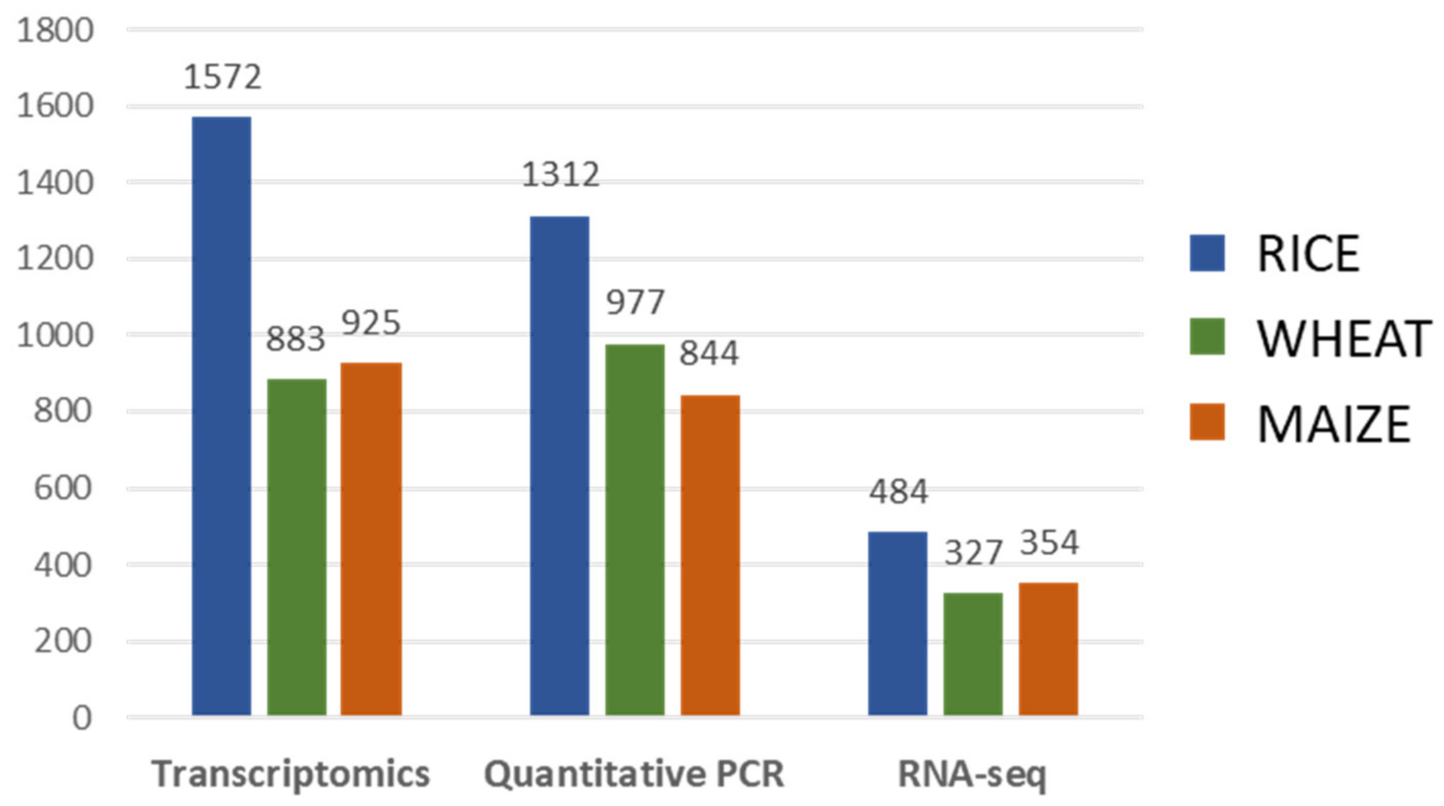 Agronomy 11 00376 g004