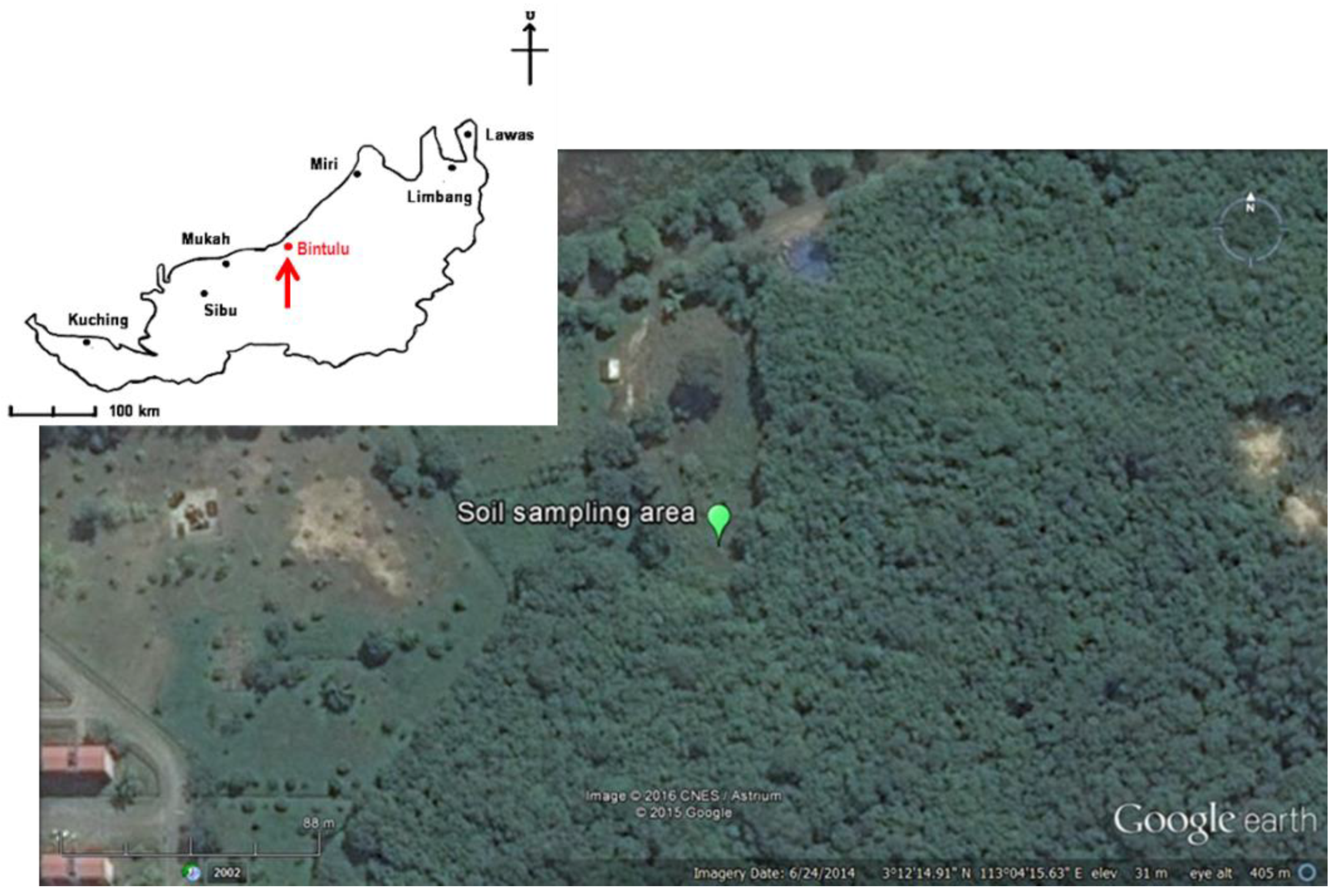 Agronomy 11 00379 g001 Agronomy 11 00379 g001