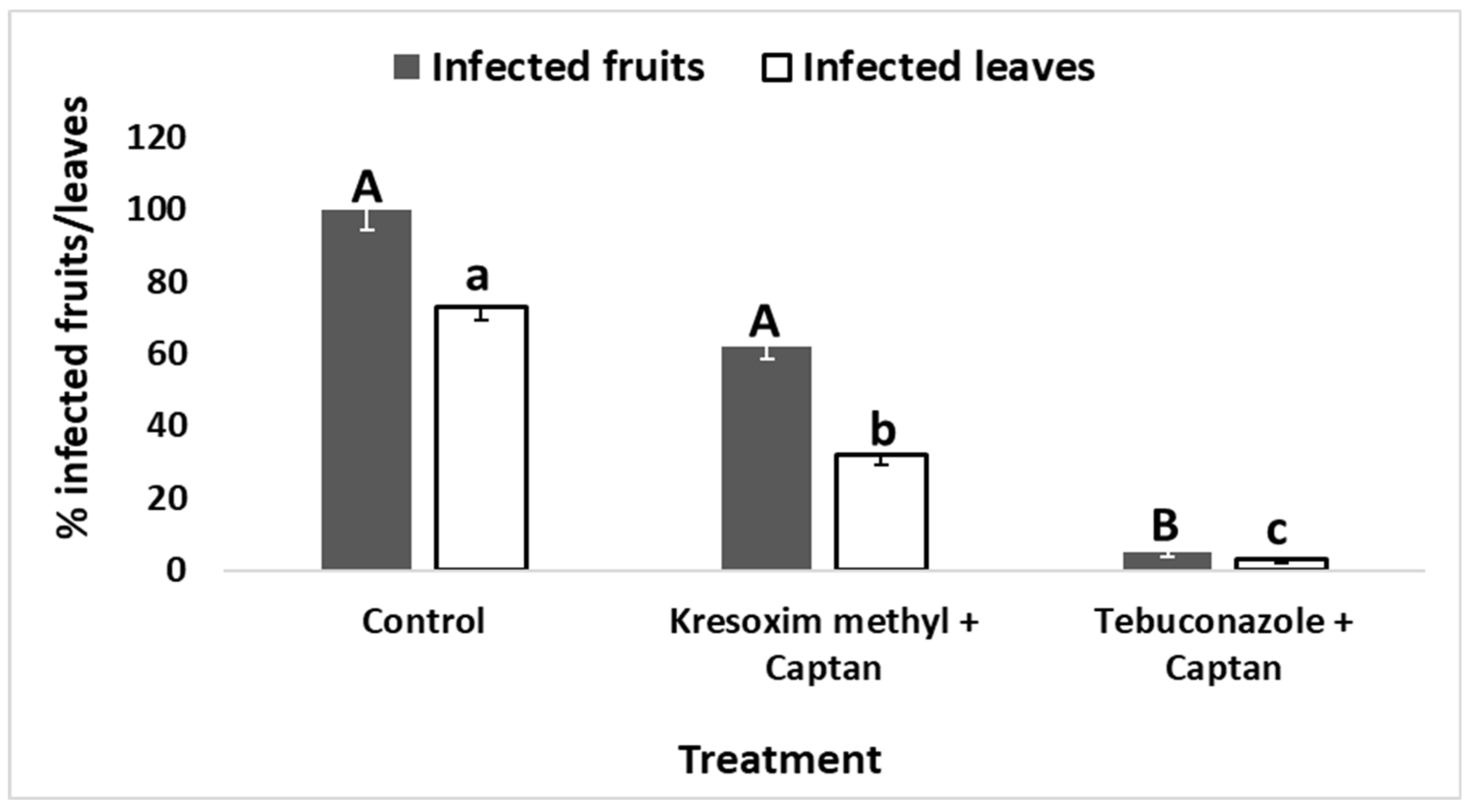 Agronomy 11 00396 g004