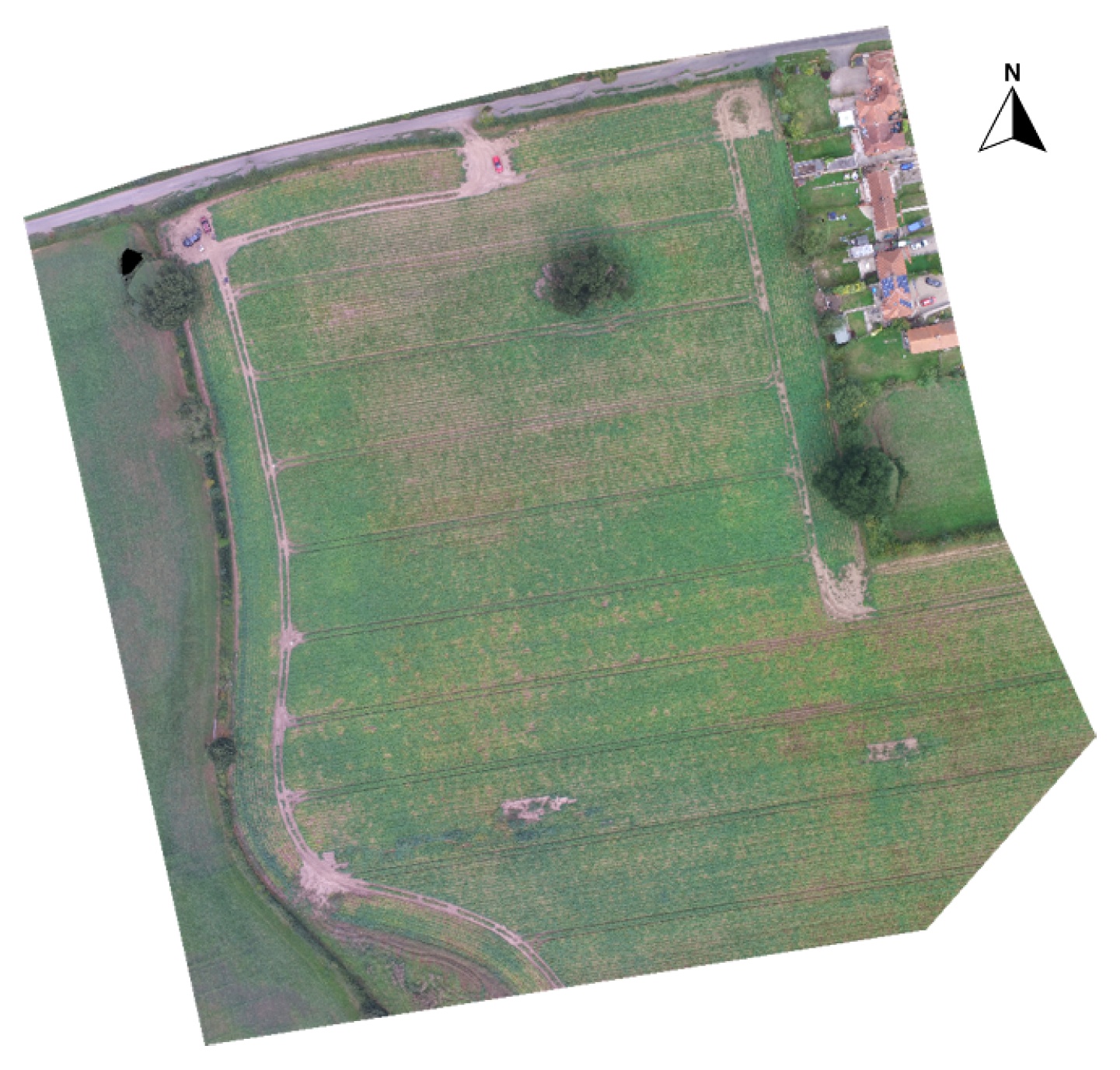 Agronomy 11 00398 g004