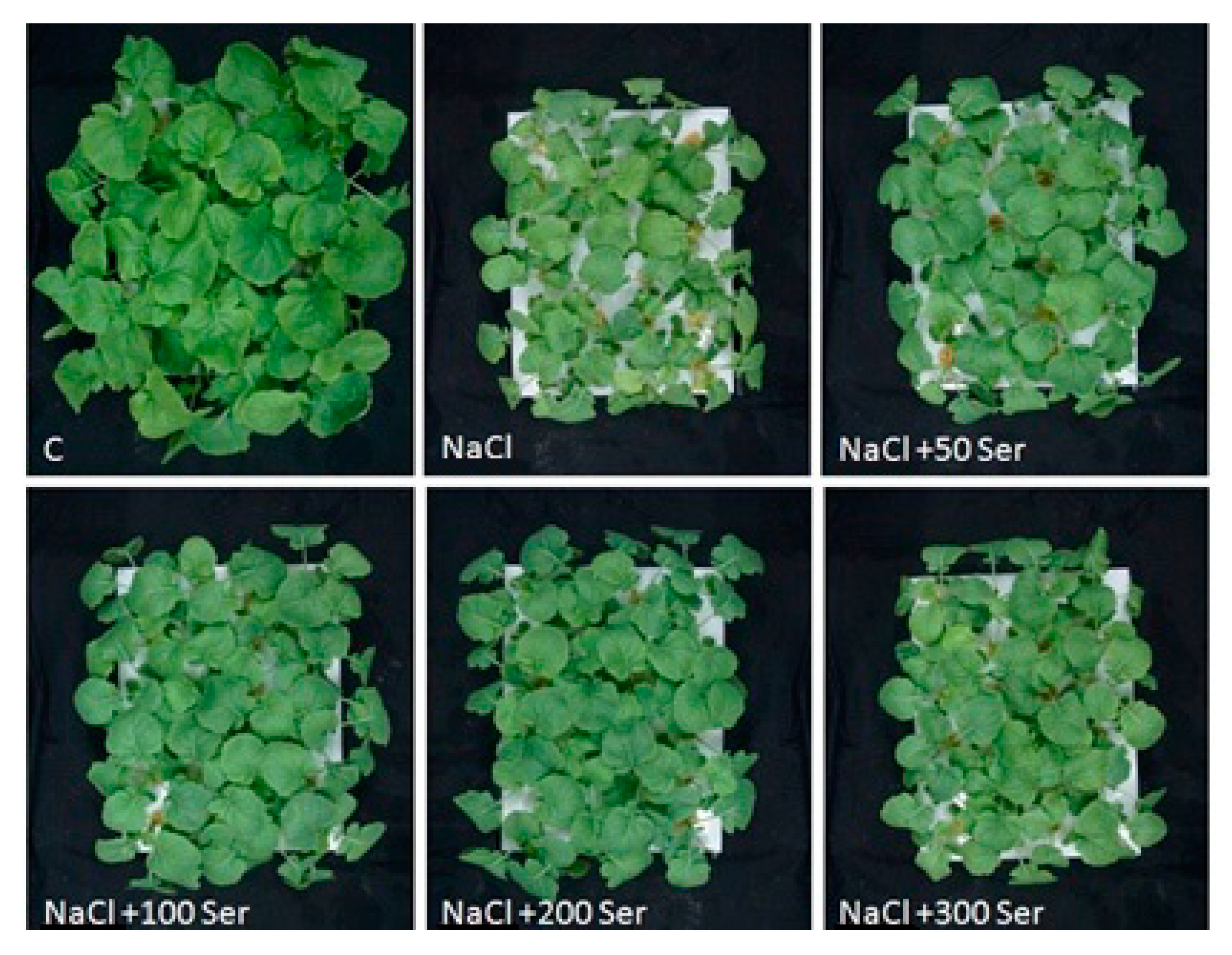 Agronomy 11 00400 g001 Agronomy 11 00400 g001