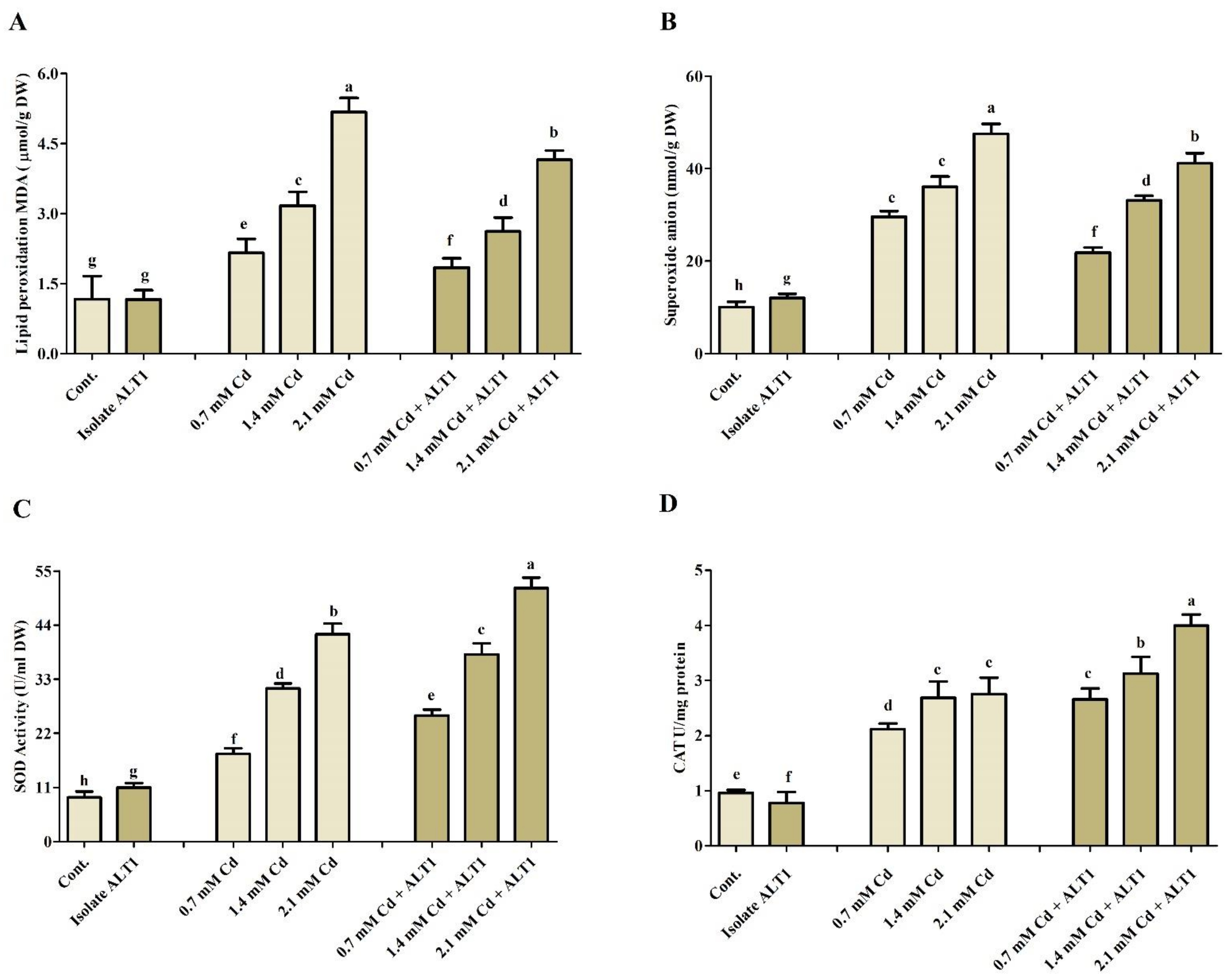 Agronomy 11 00404 g004