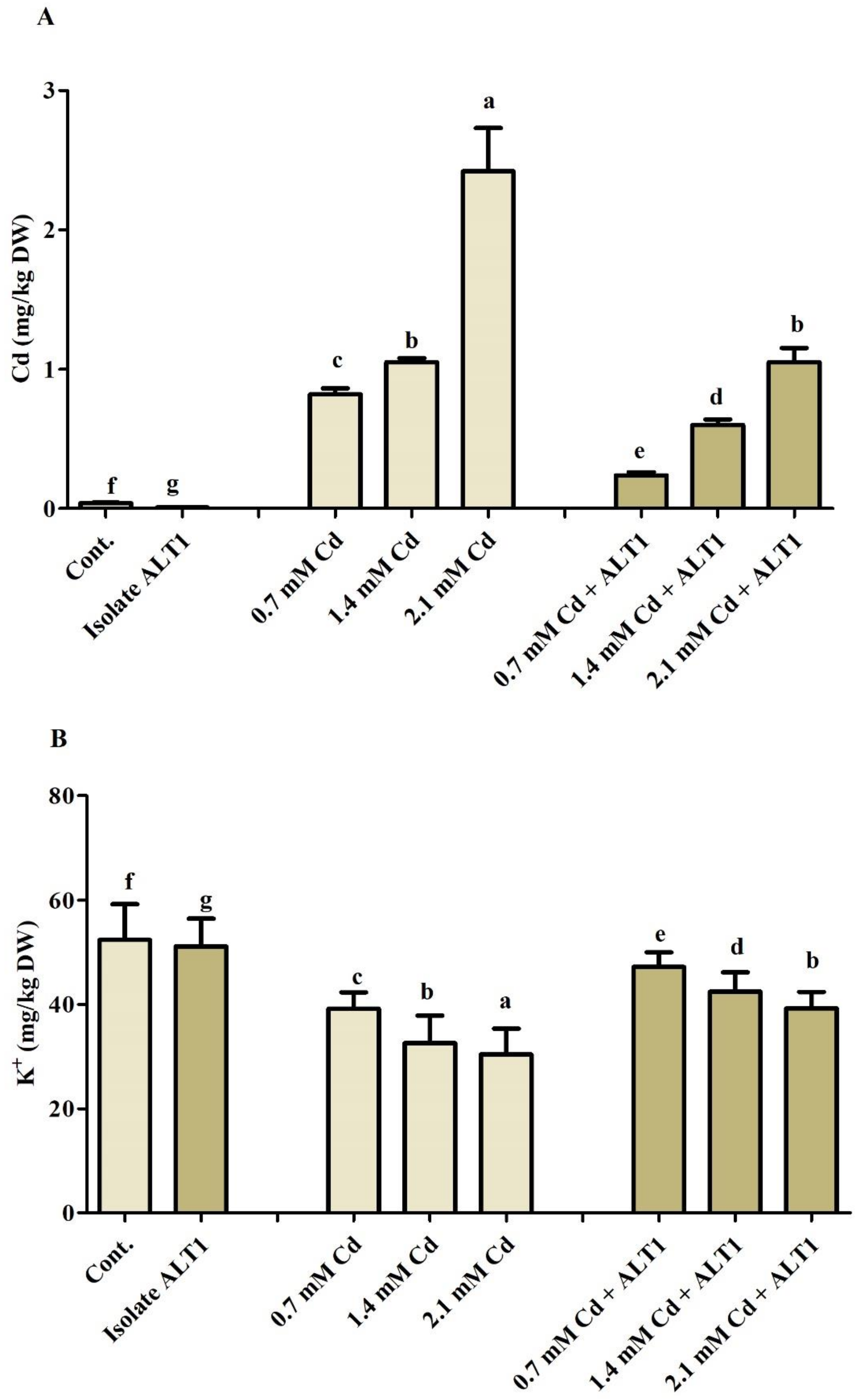 Agronomy 11 00404 g006