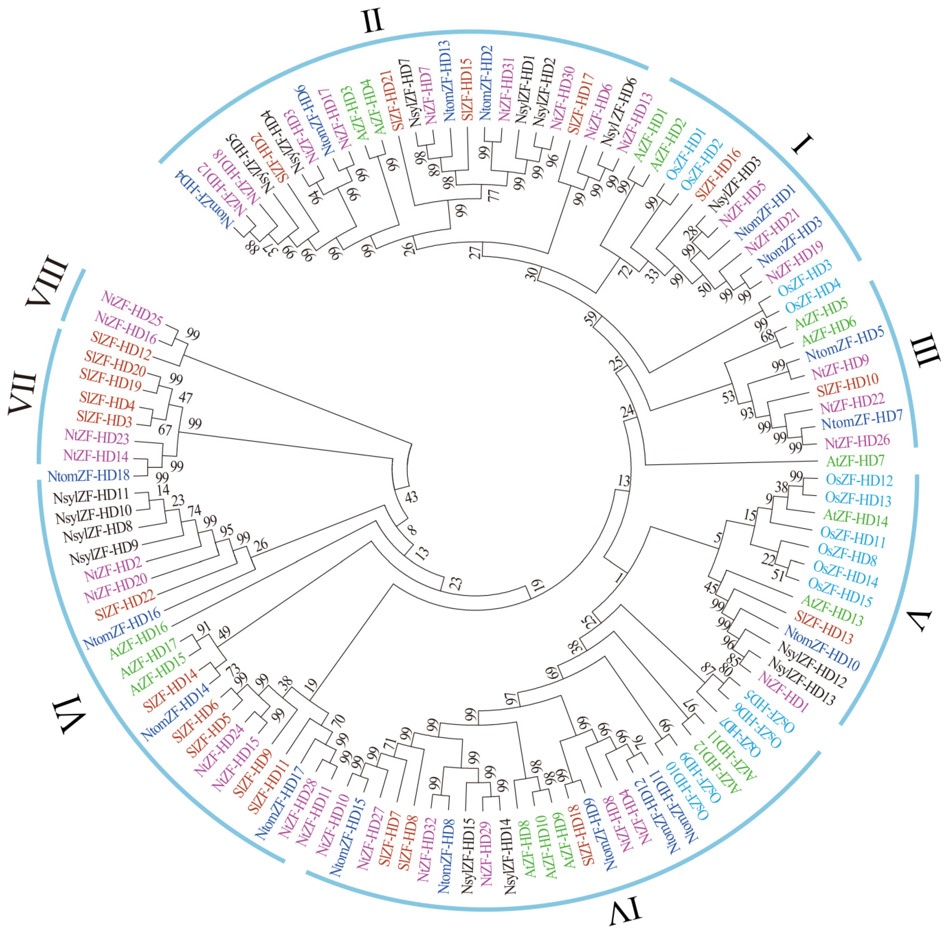 Agronomy 11 00406 g001