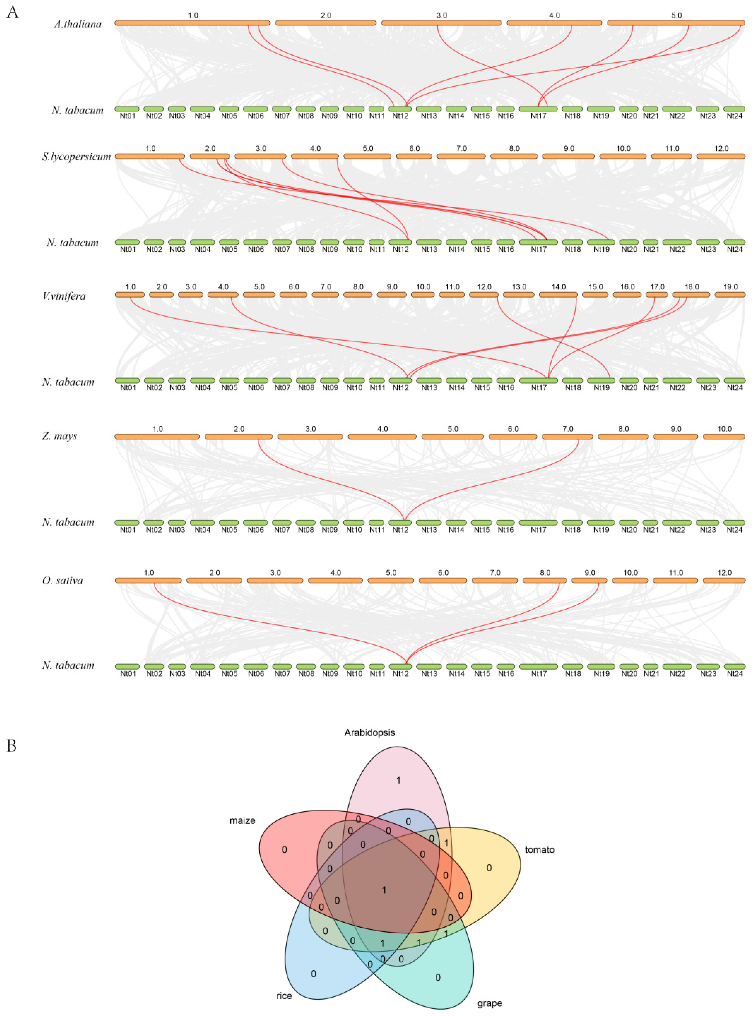 Agronomy 11 00406 g002