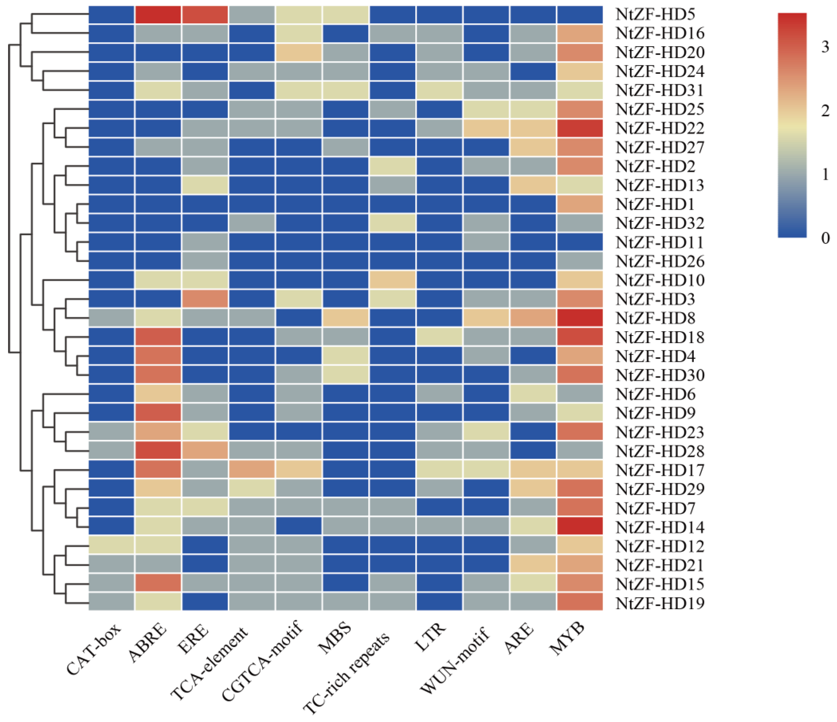Agronomy 11 00406 g003