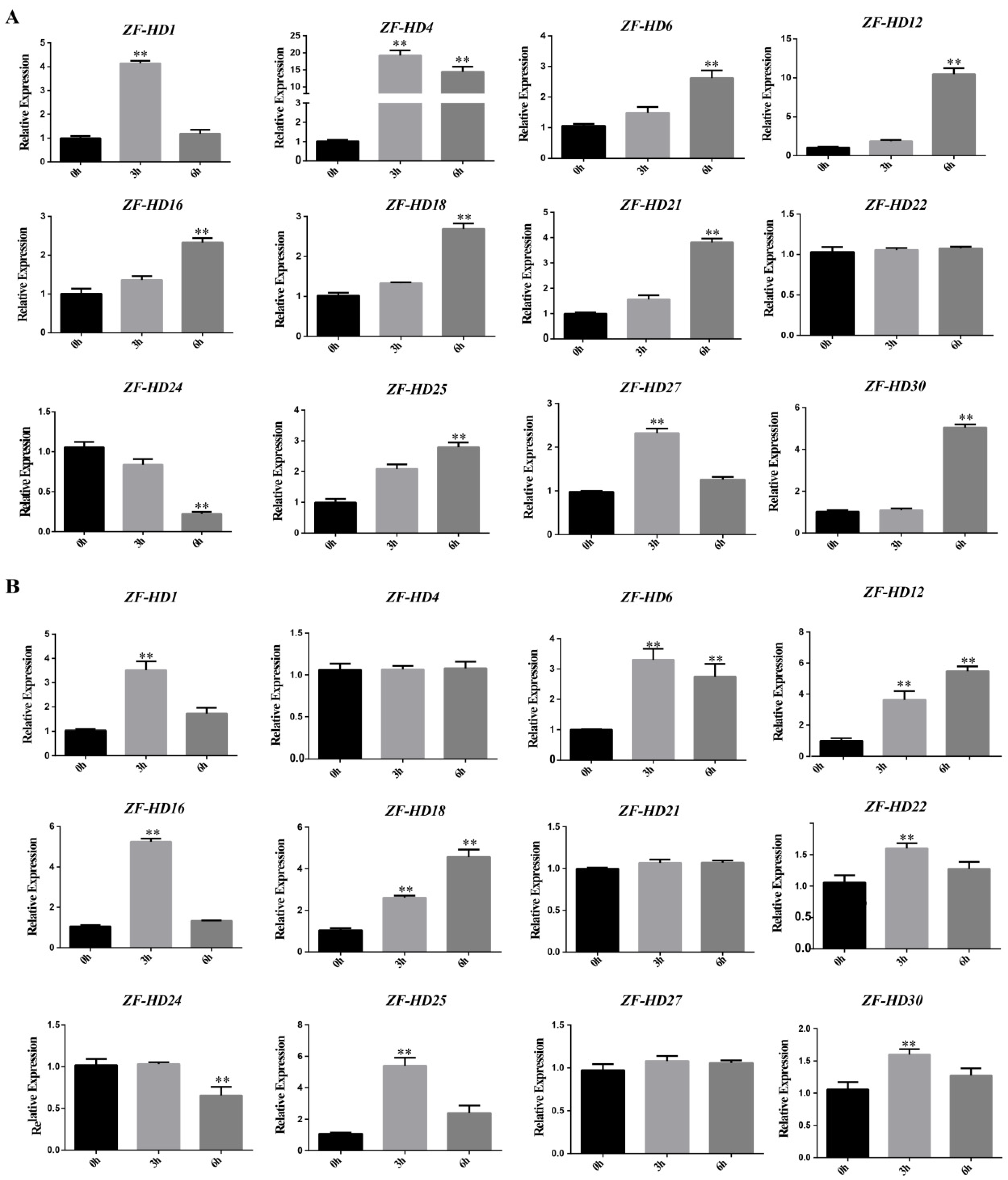 Agronomy 11 00406 g004