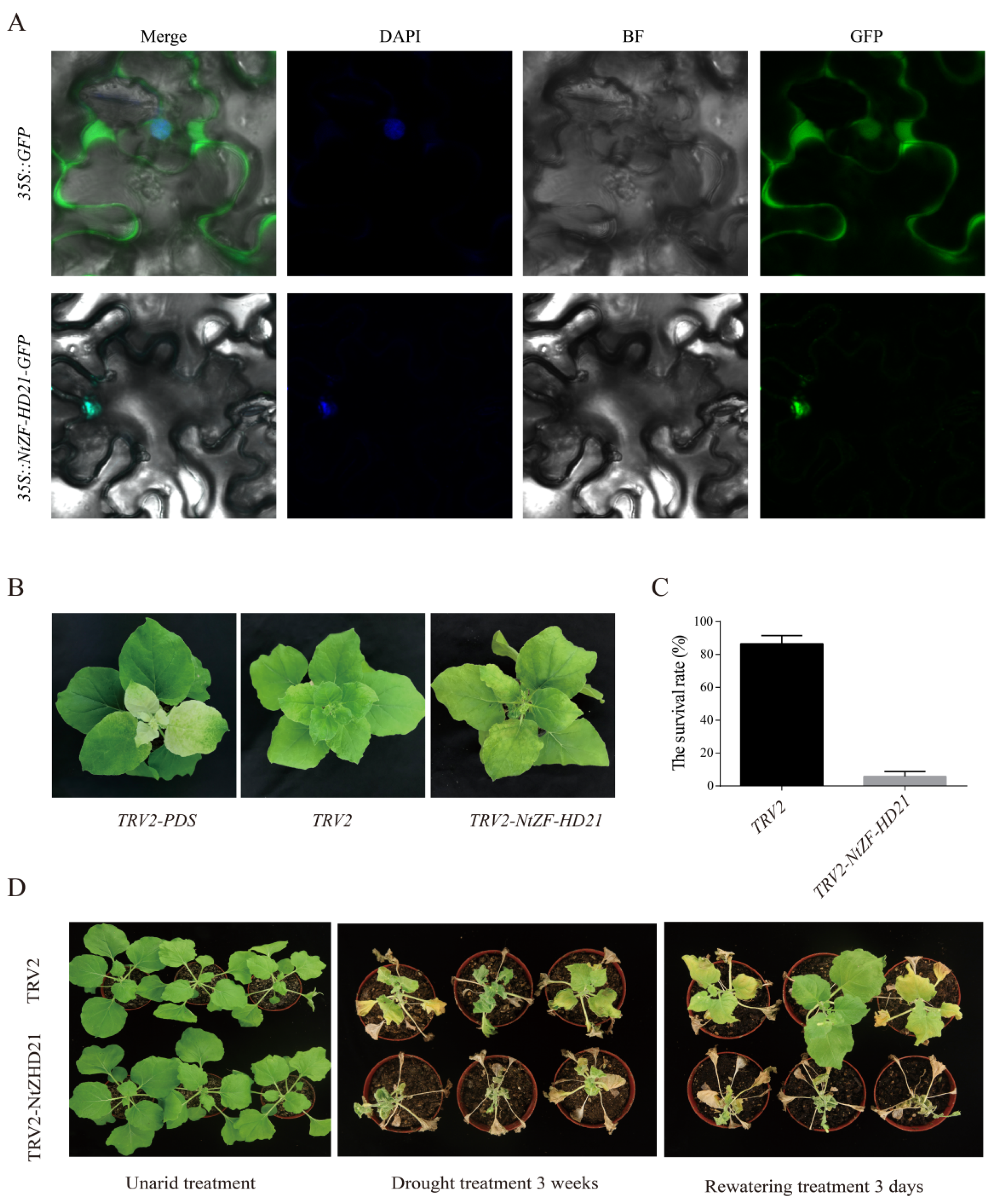 Agronomy 11 00406 g005