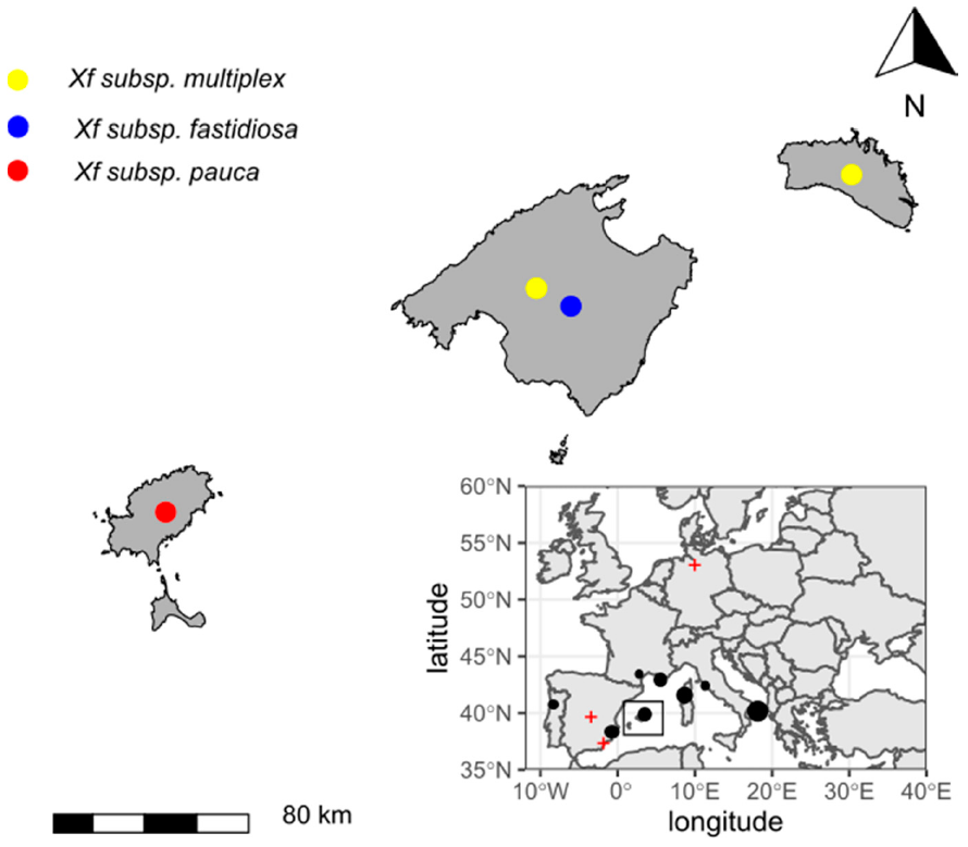 Agronomy 11 00473 g002 Agronomy 11 00473 g002