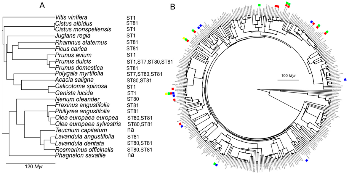 Agronomy 11 00473 g005 Agronomy 11 00473 g005
