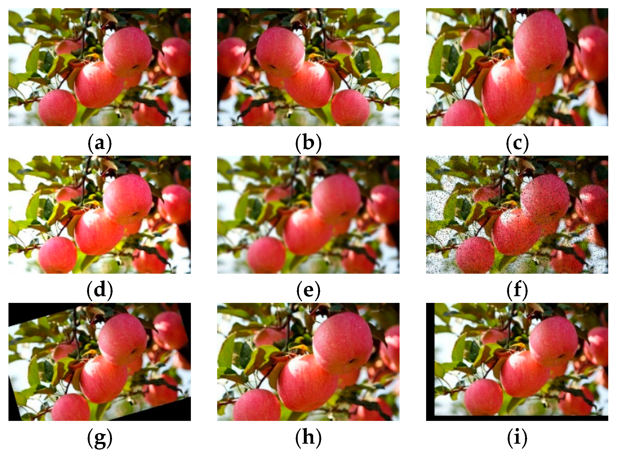 Agronomy 11 00476 g001 Agronomy 11 00476 g001