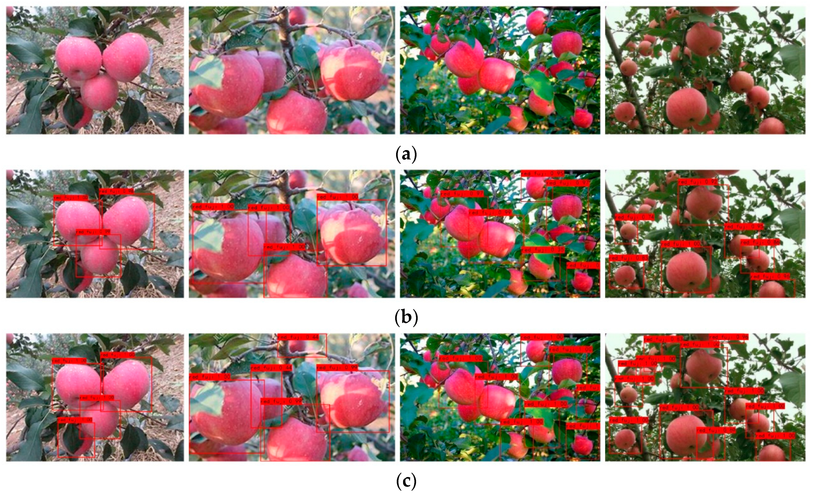 Agronomy 11 00476 g010 Agronomy 11 00476 g010