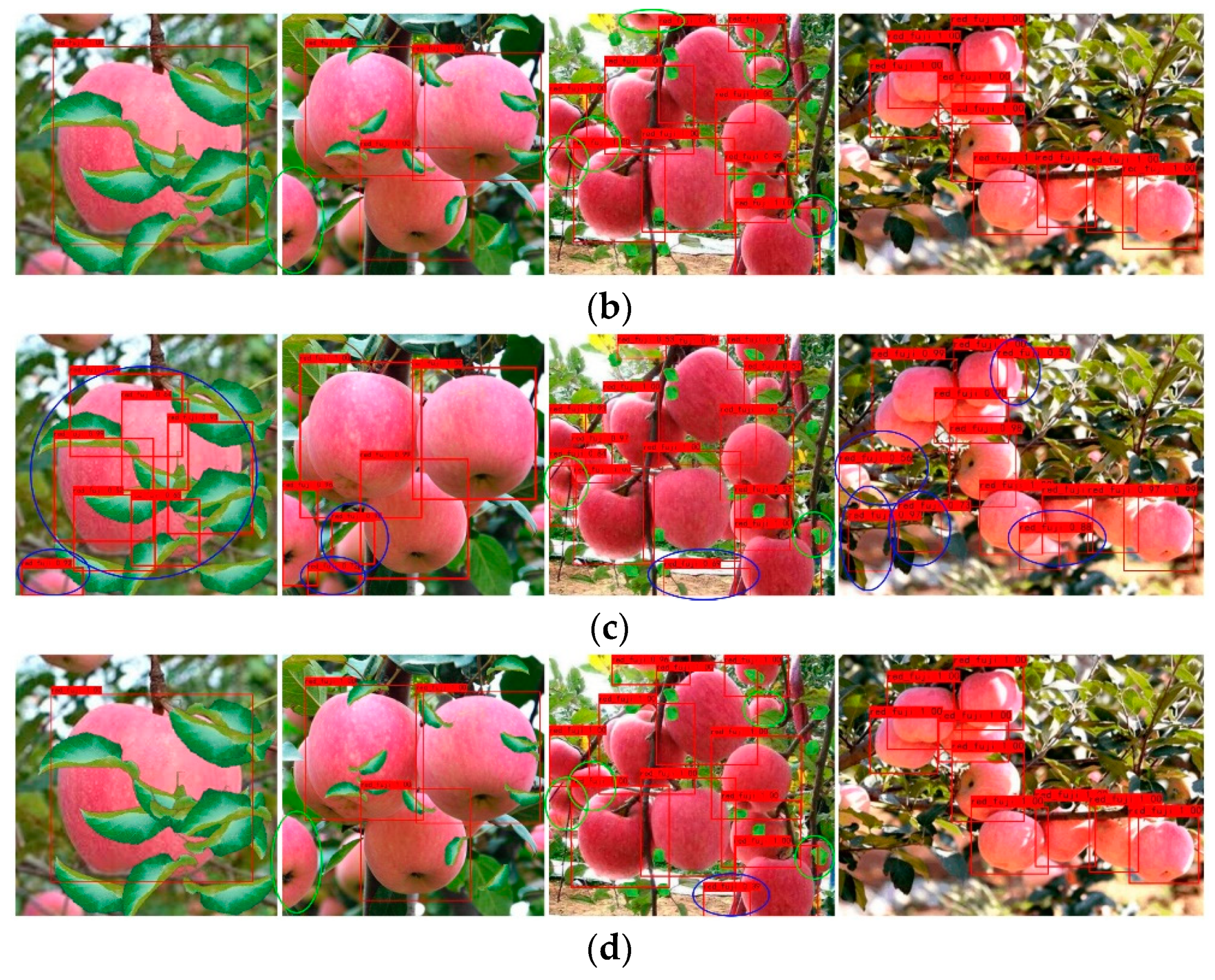 Agronomy 11 00476 g012b Agronomy 11 00476 g012b