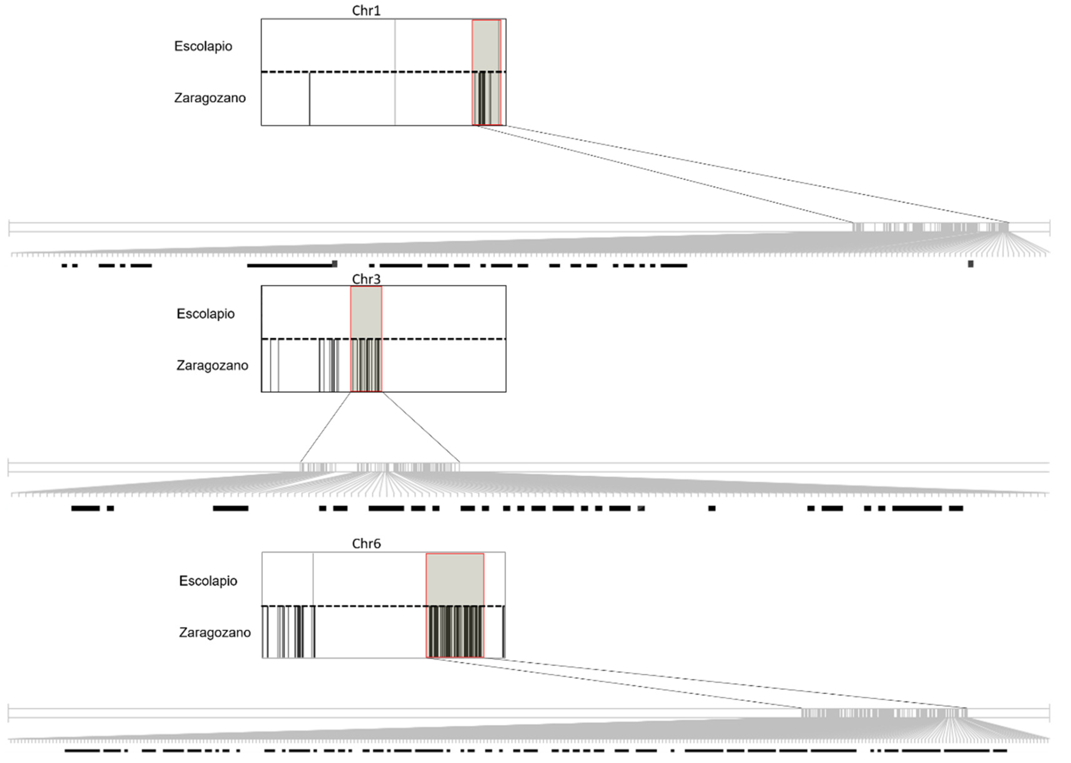 Agronomy 11 00481 g001