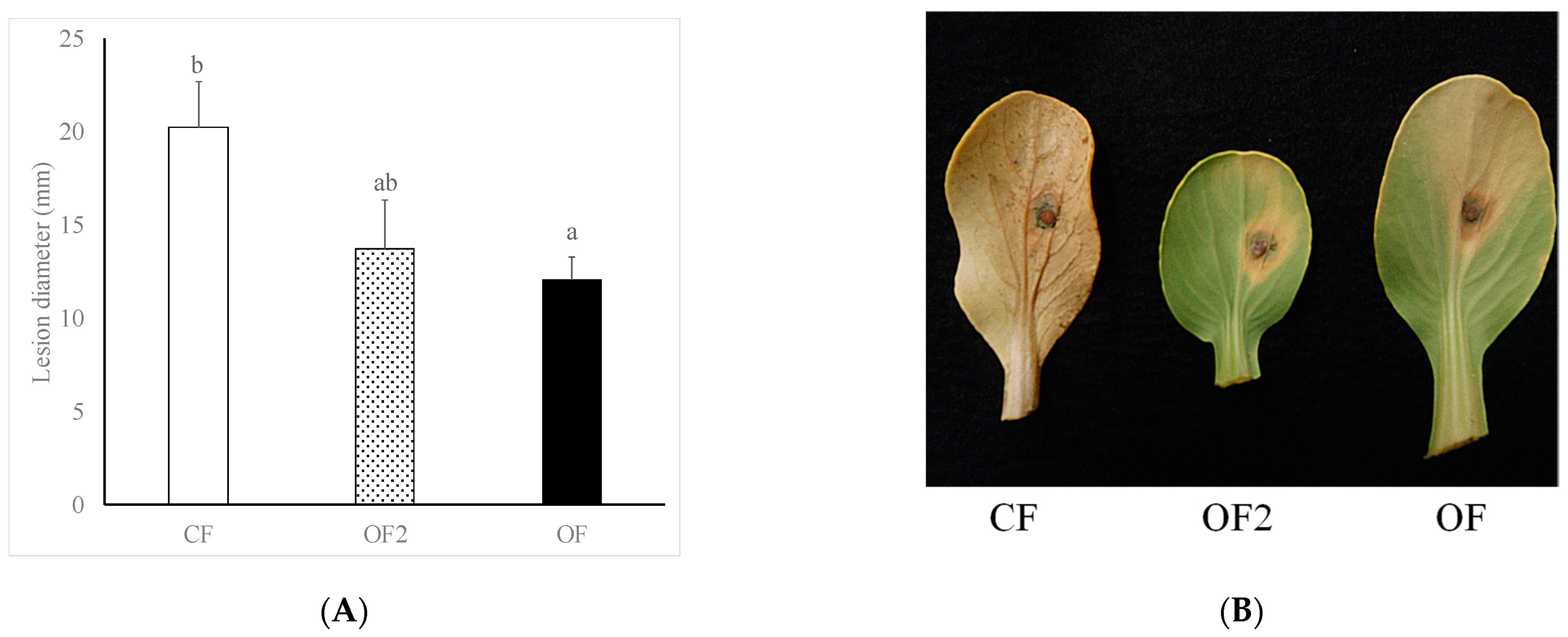 Agronomy 11 00491 g006