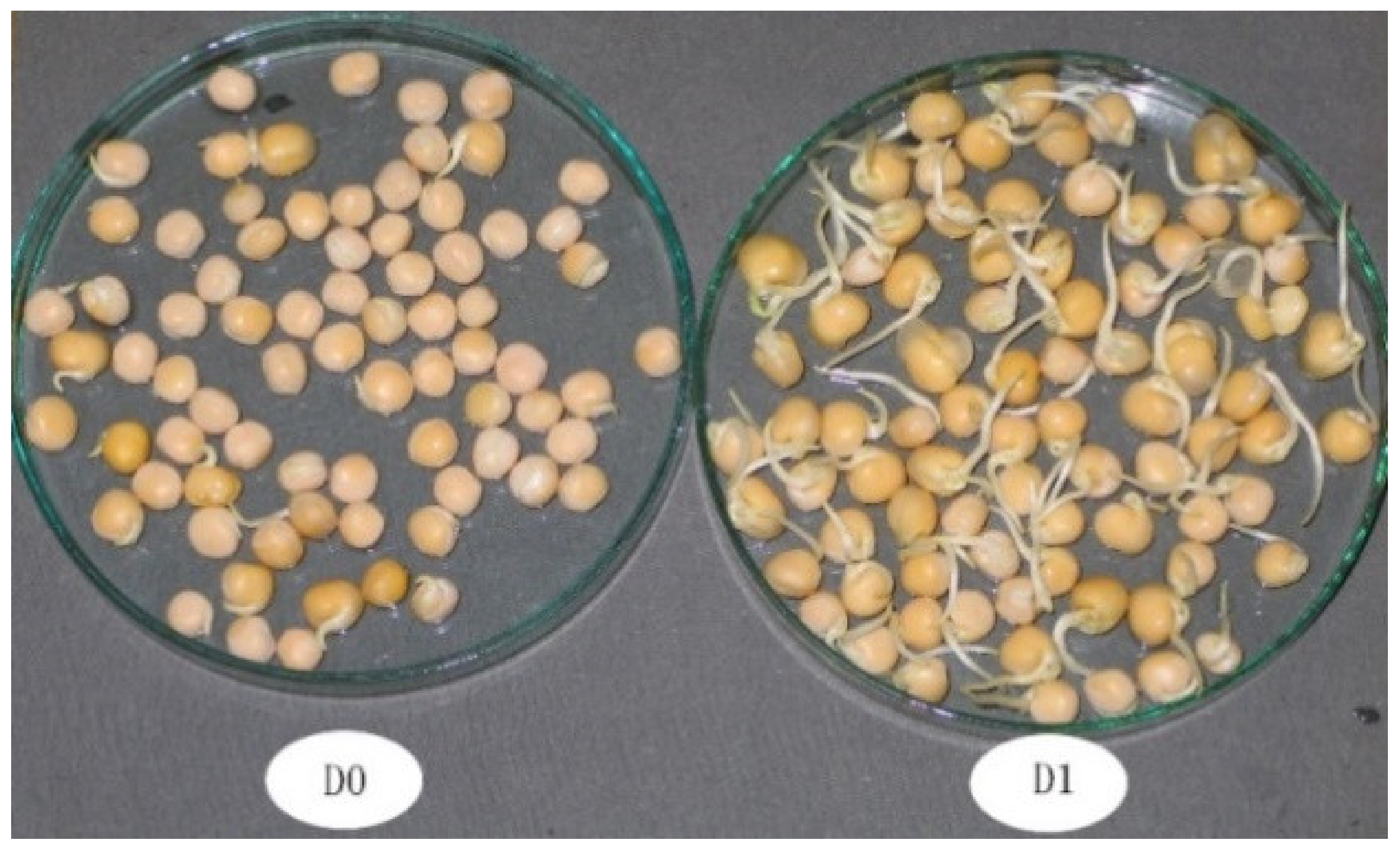 Agronomy 11 00494 g003 Agronomy 11 00494 g003
