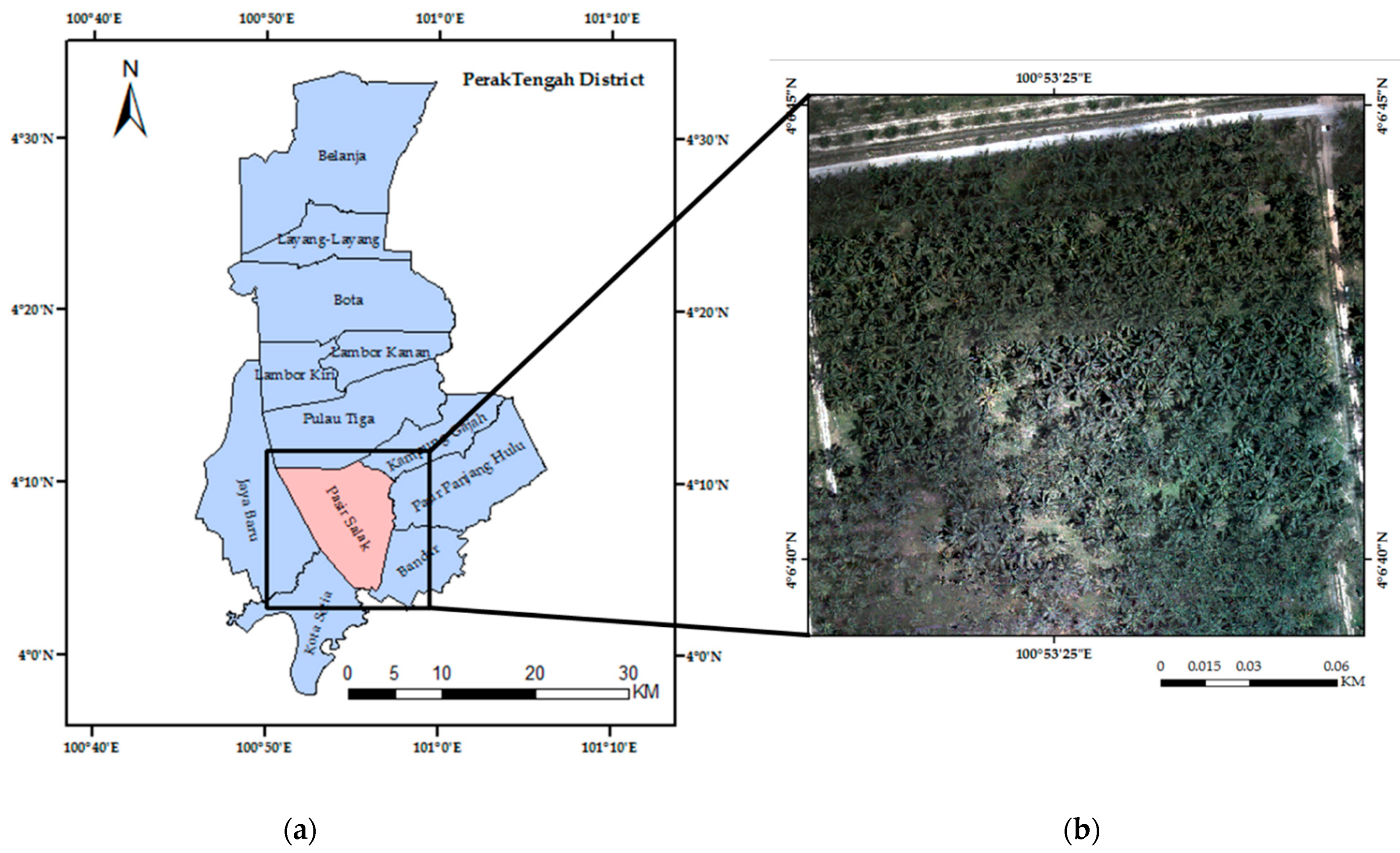 Agronomy 11 00532 g001 Agronomy 11 00532 g001