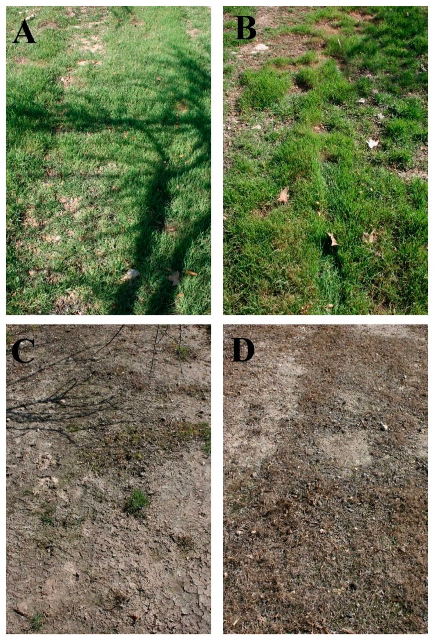 Agronomy 11 00535 g005 Agronomy 11 00535 g005