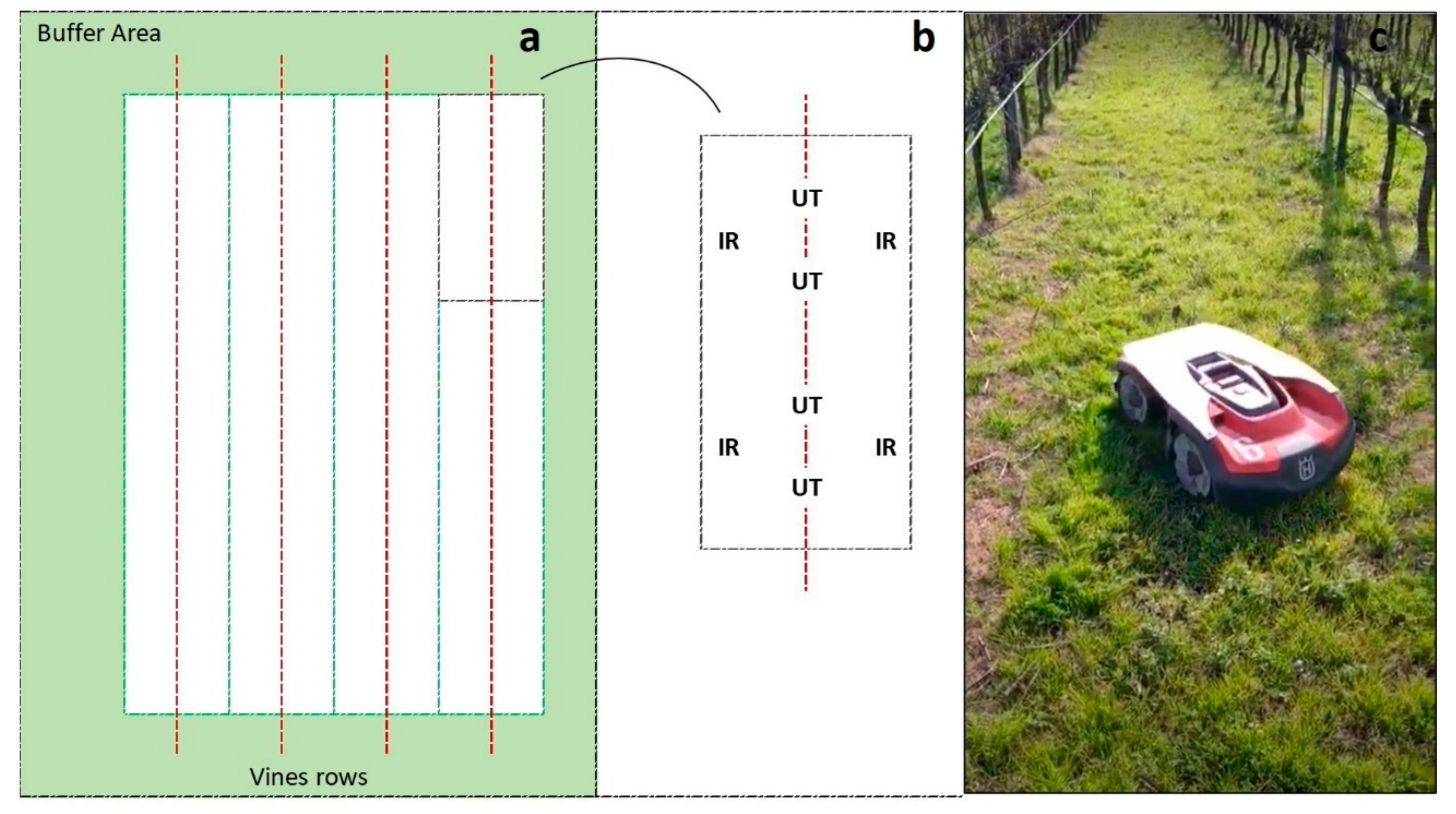 Agronomy 11 00538 g001