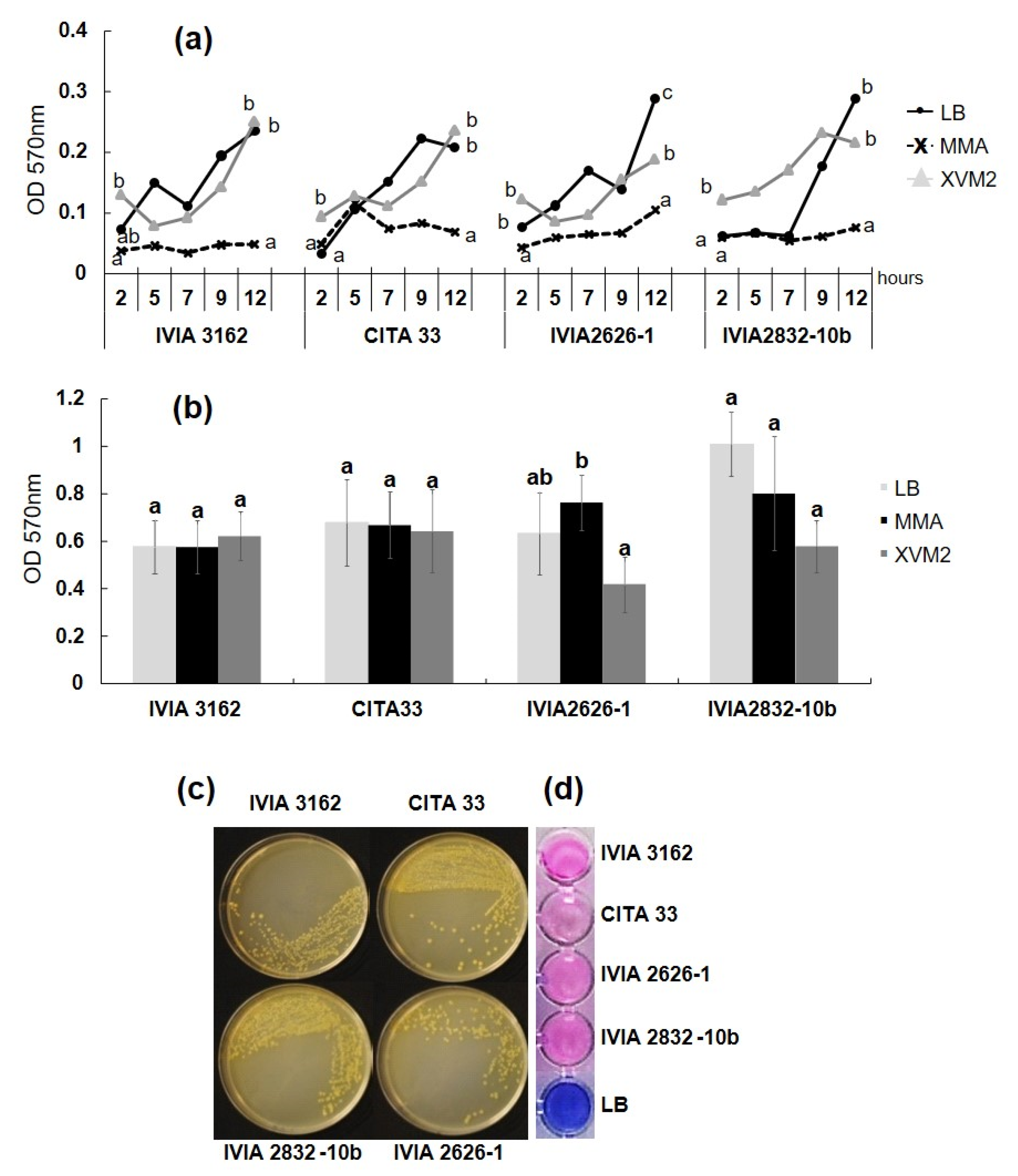 Agronomy 11 00546 g002