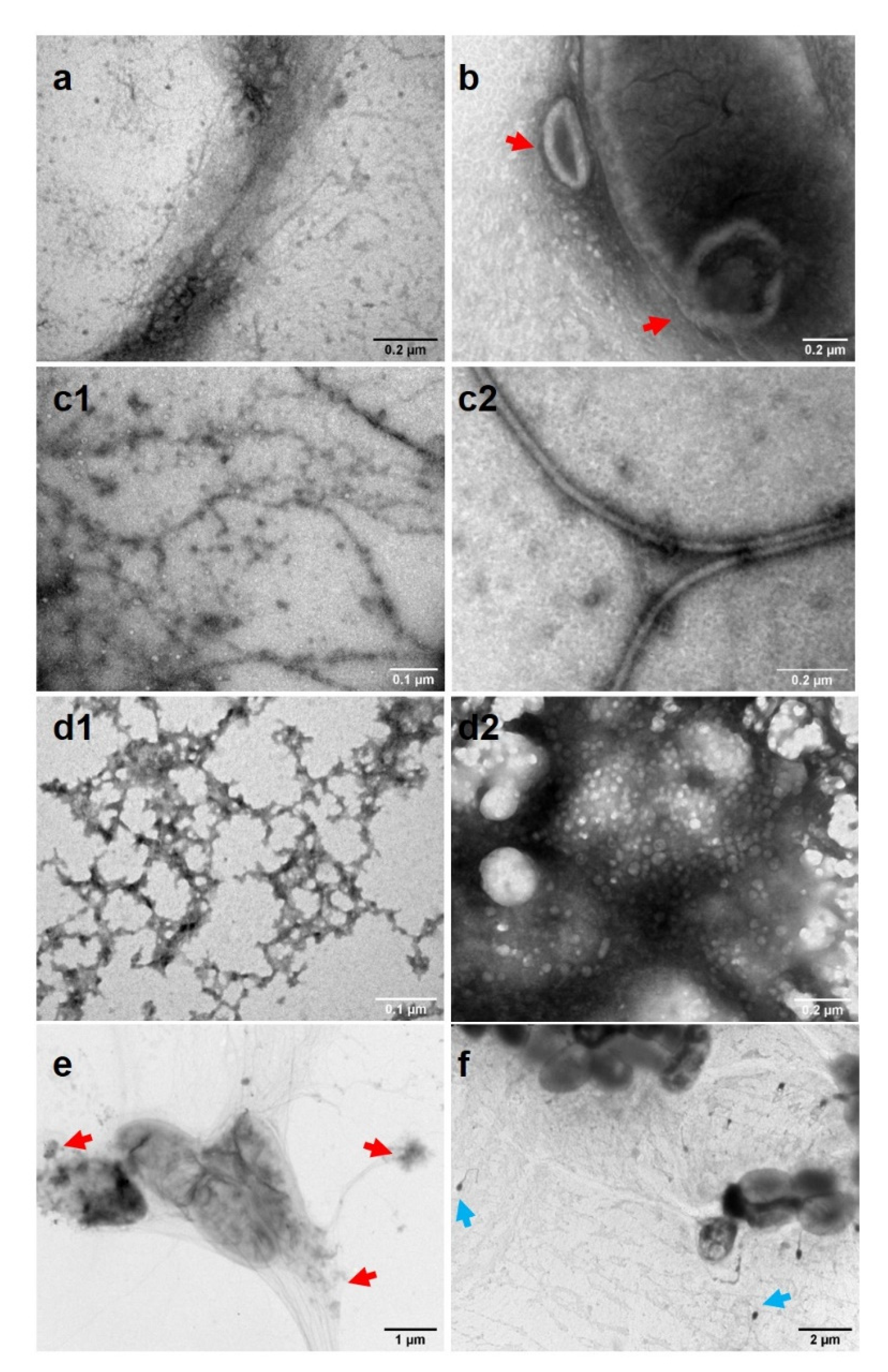 Agronomy 11 00546 g006