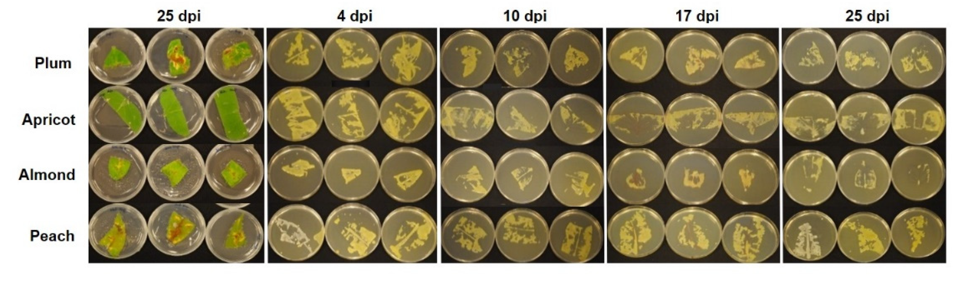 Agronomy 11 00546 g008