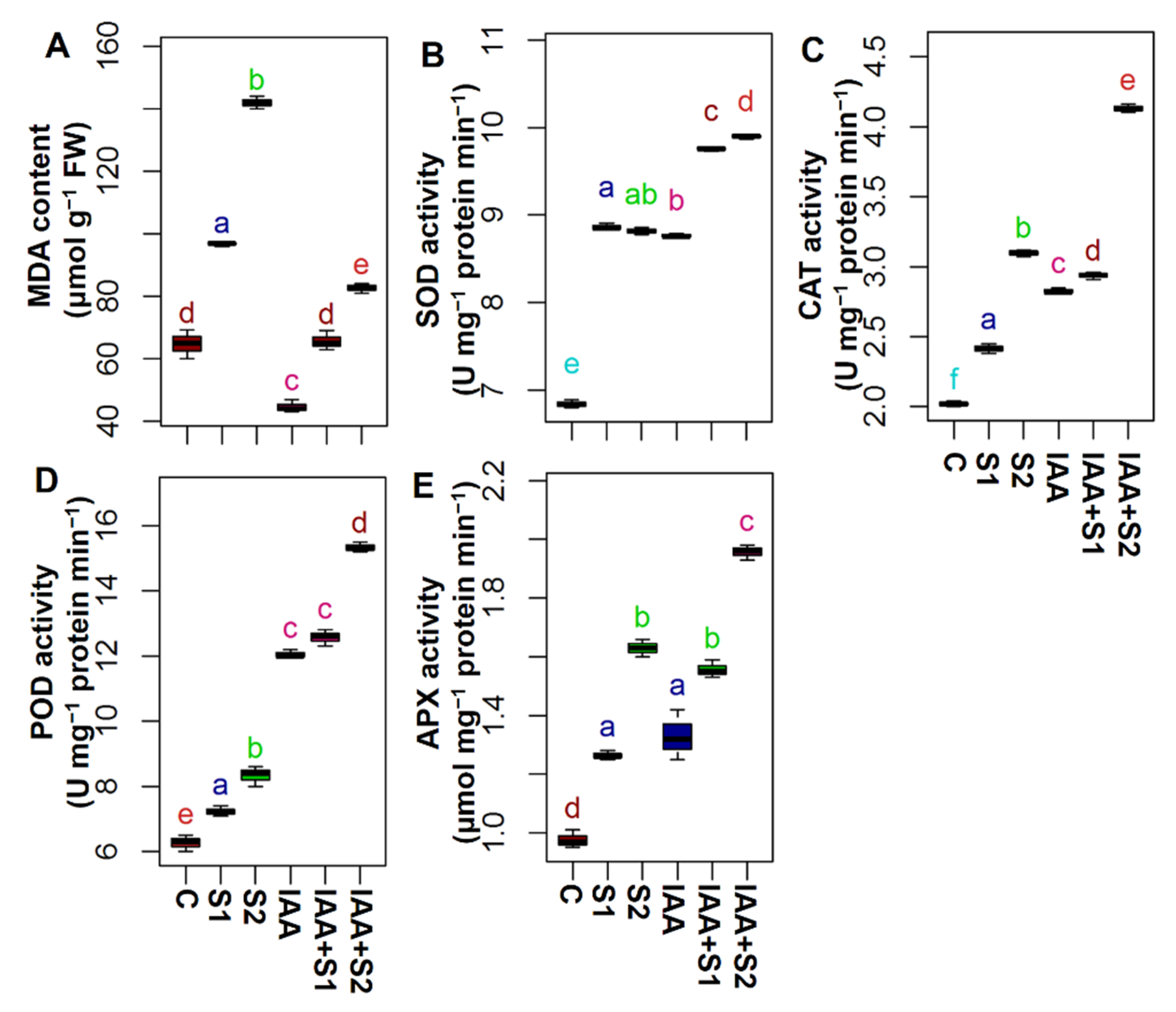 Agronomy 11 00547 g005