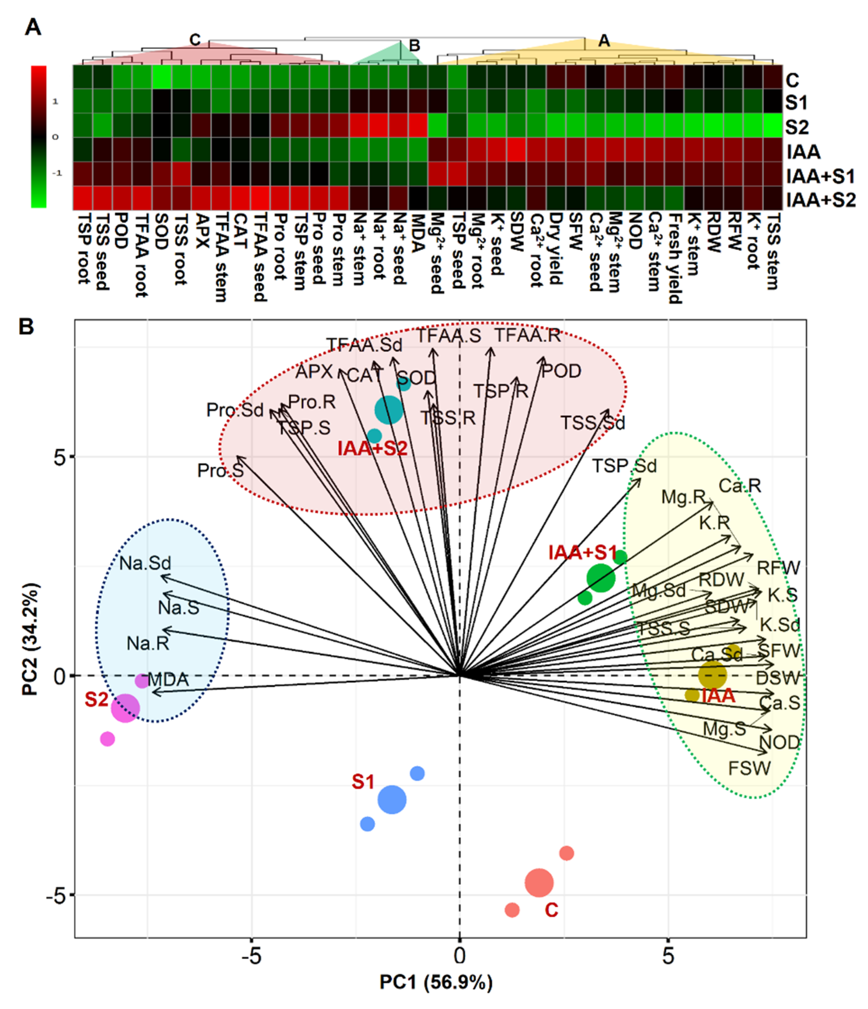 Agronomy 11 00547 g006
