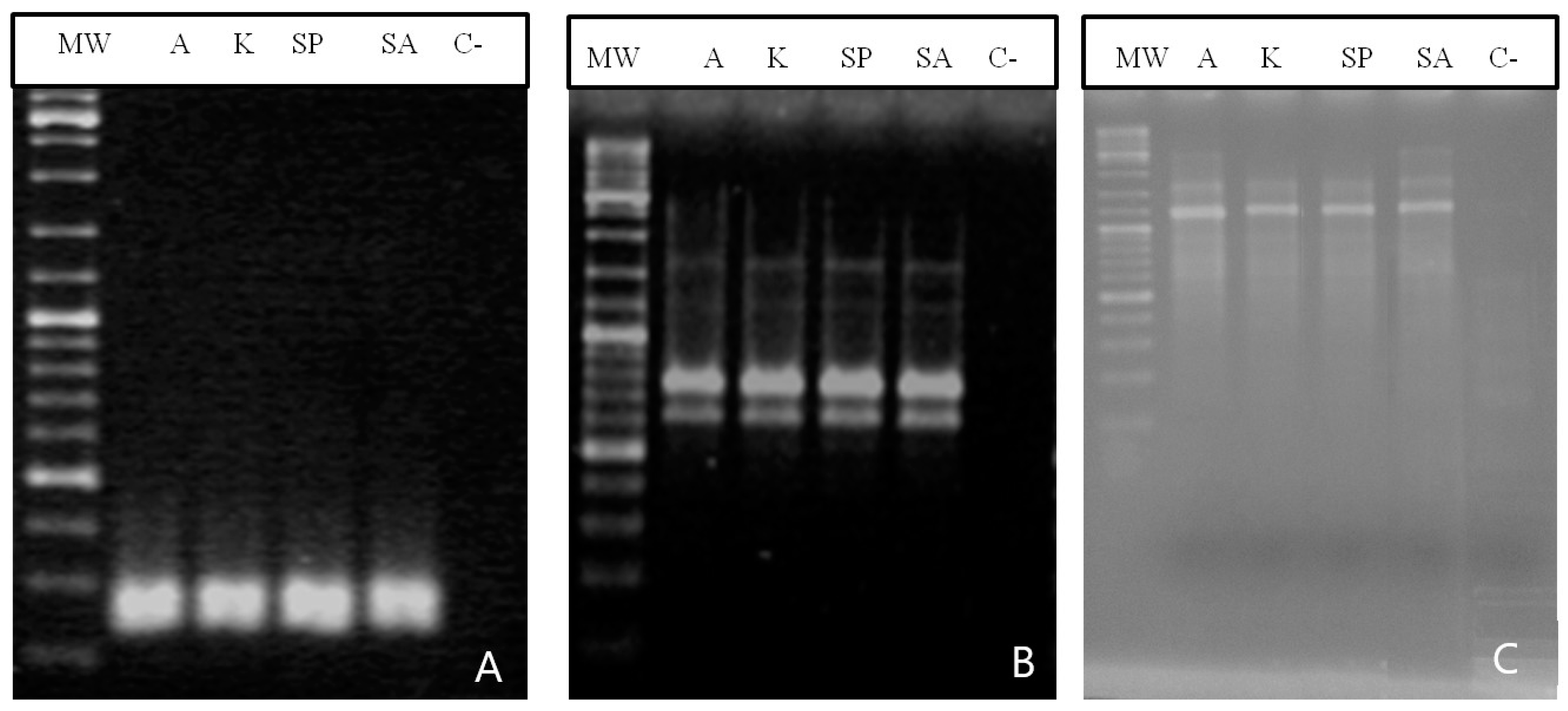 Agronomy 11 00551 g001