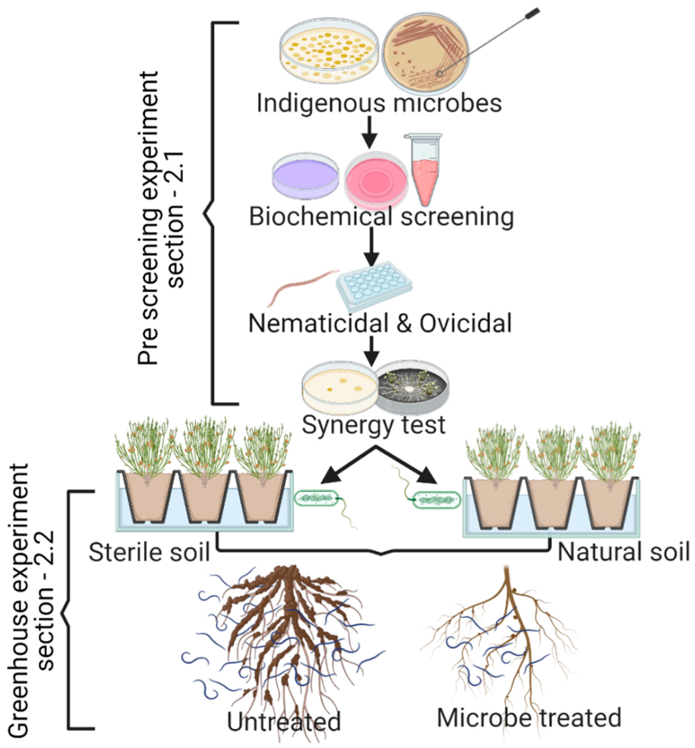 Agronomy 11 00570 g001