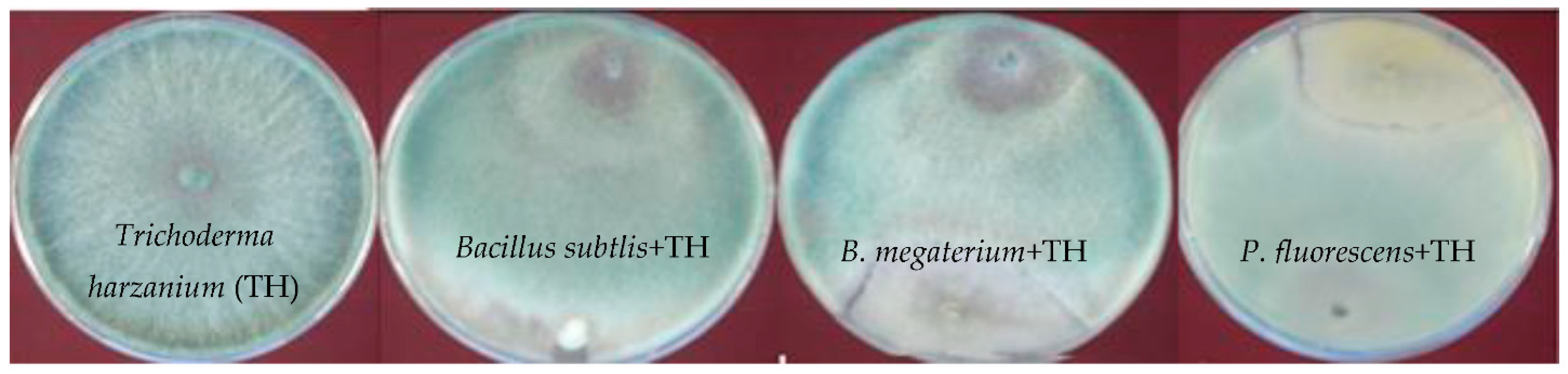 Agronomy 11 00570 g002