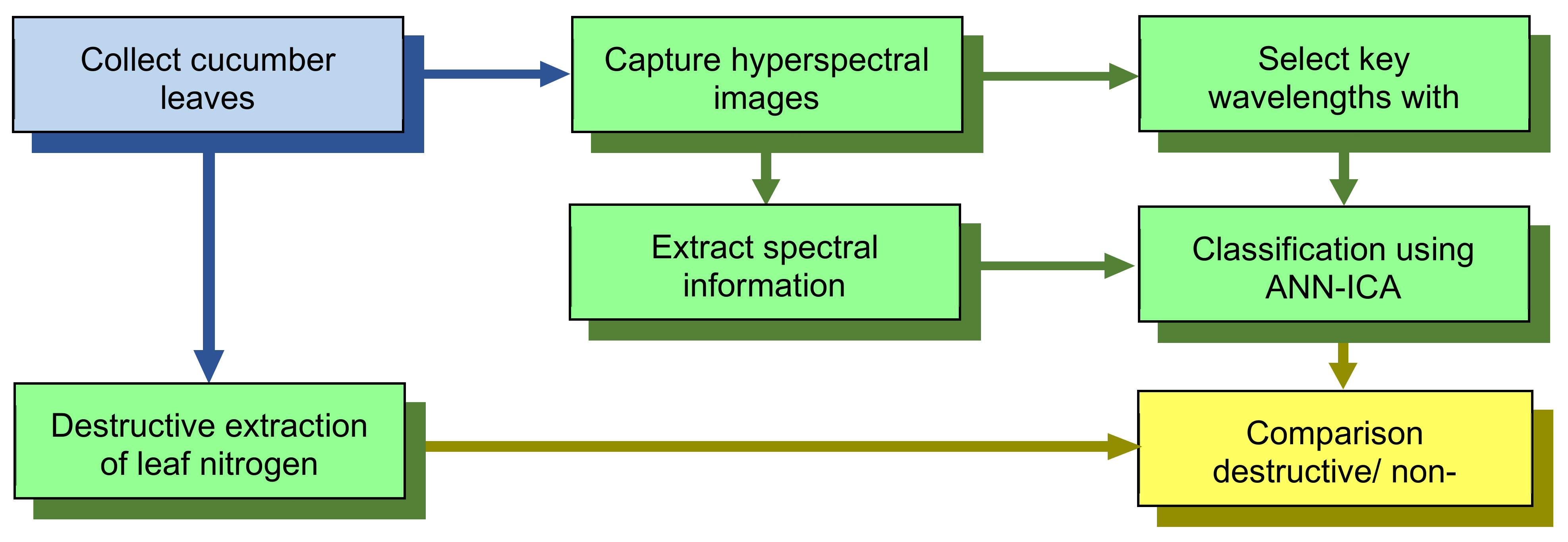Agronomy 11 00575 g001