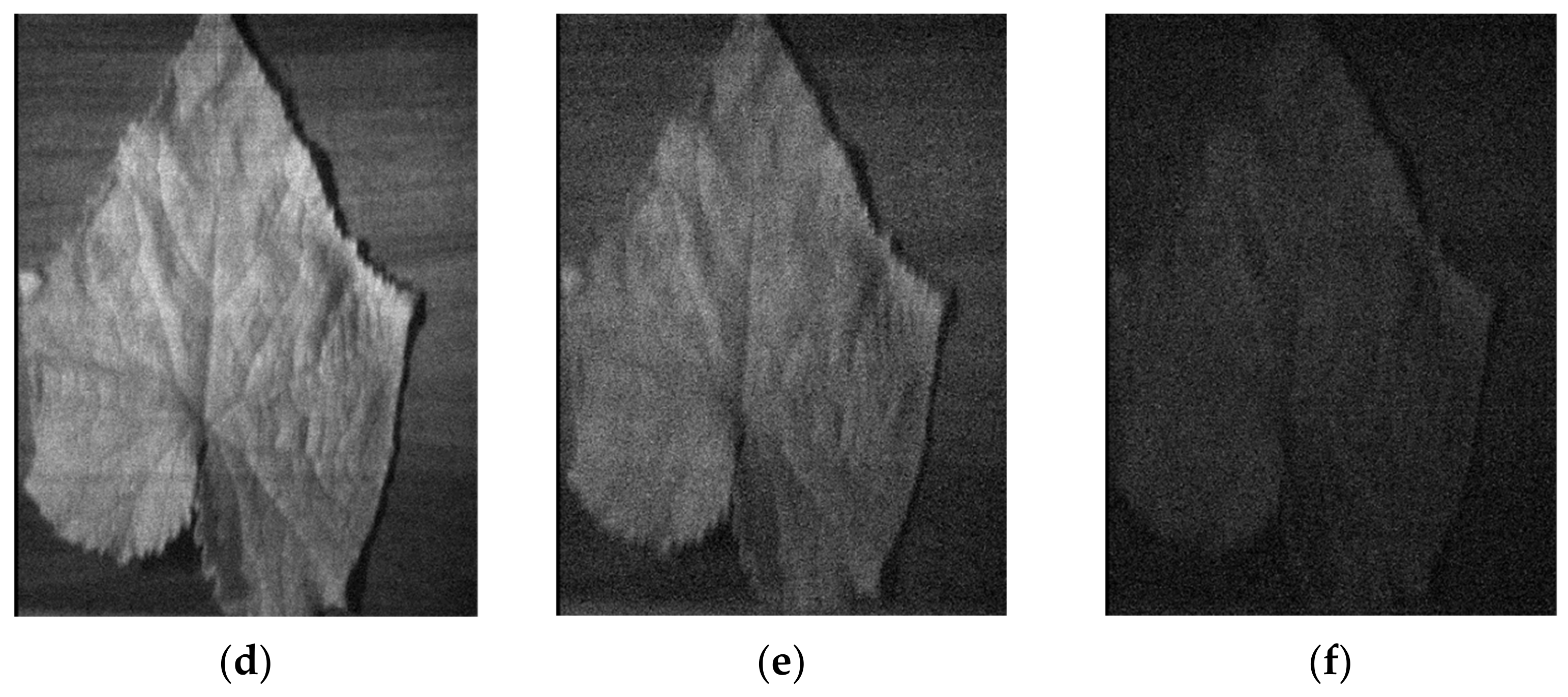 Agronomy 11 00575 g004b