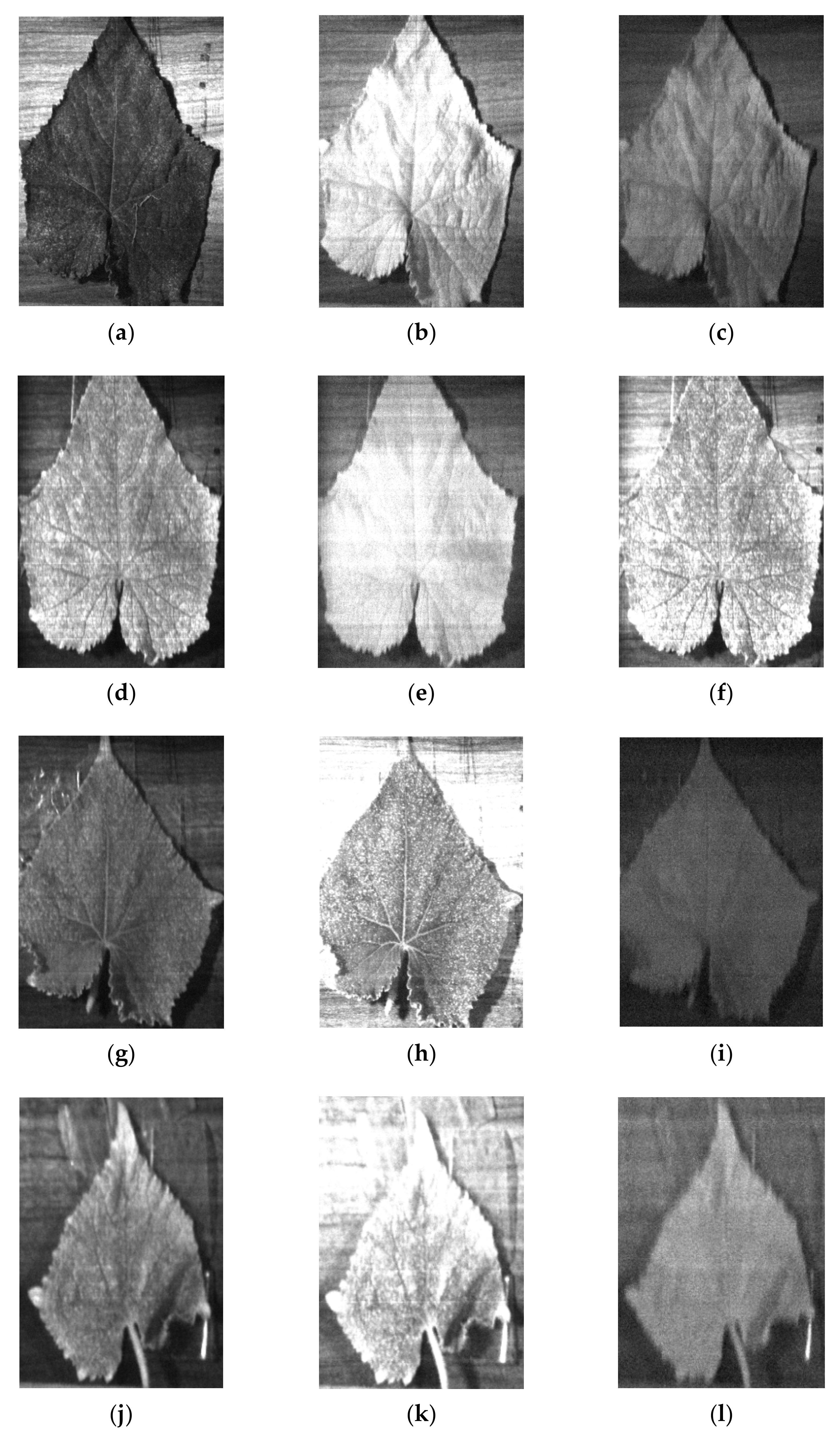 Agronomy 11 00575 g007