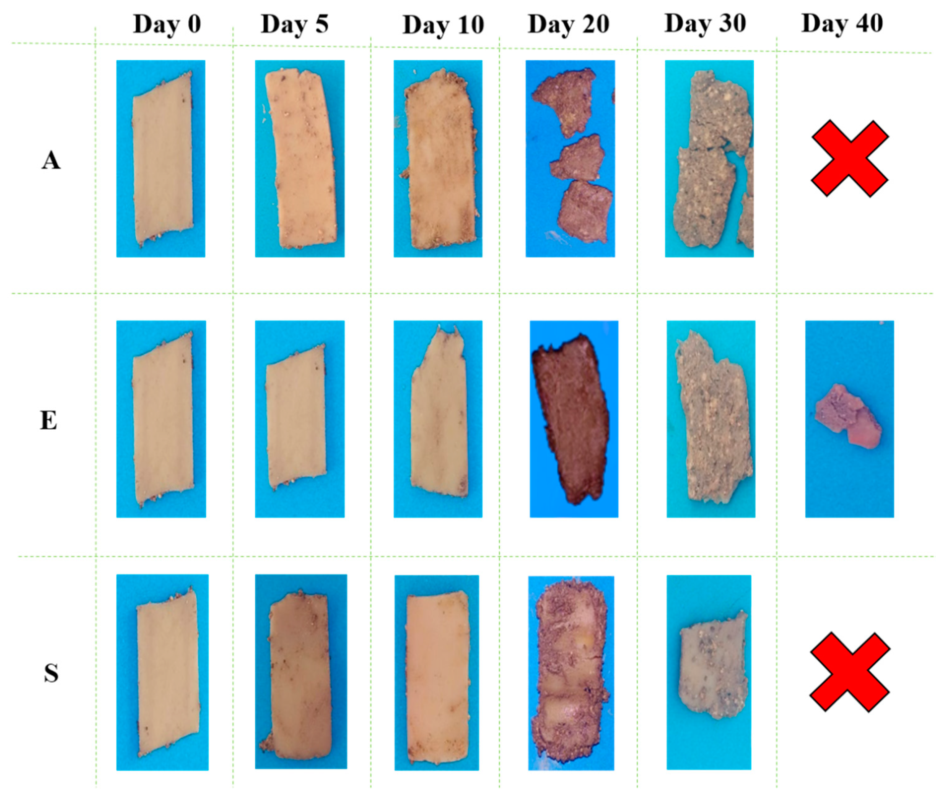 Agronomy 11 00580 g006