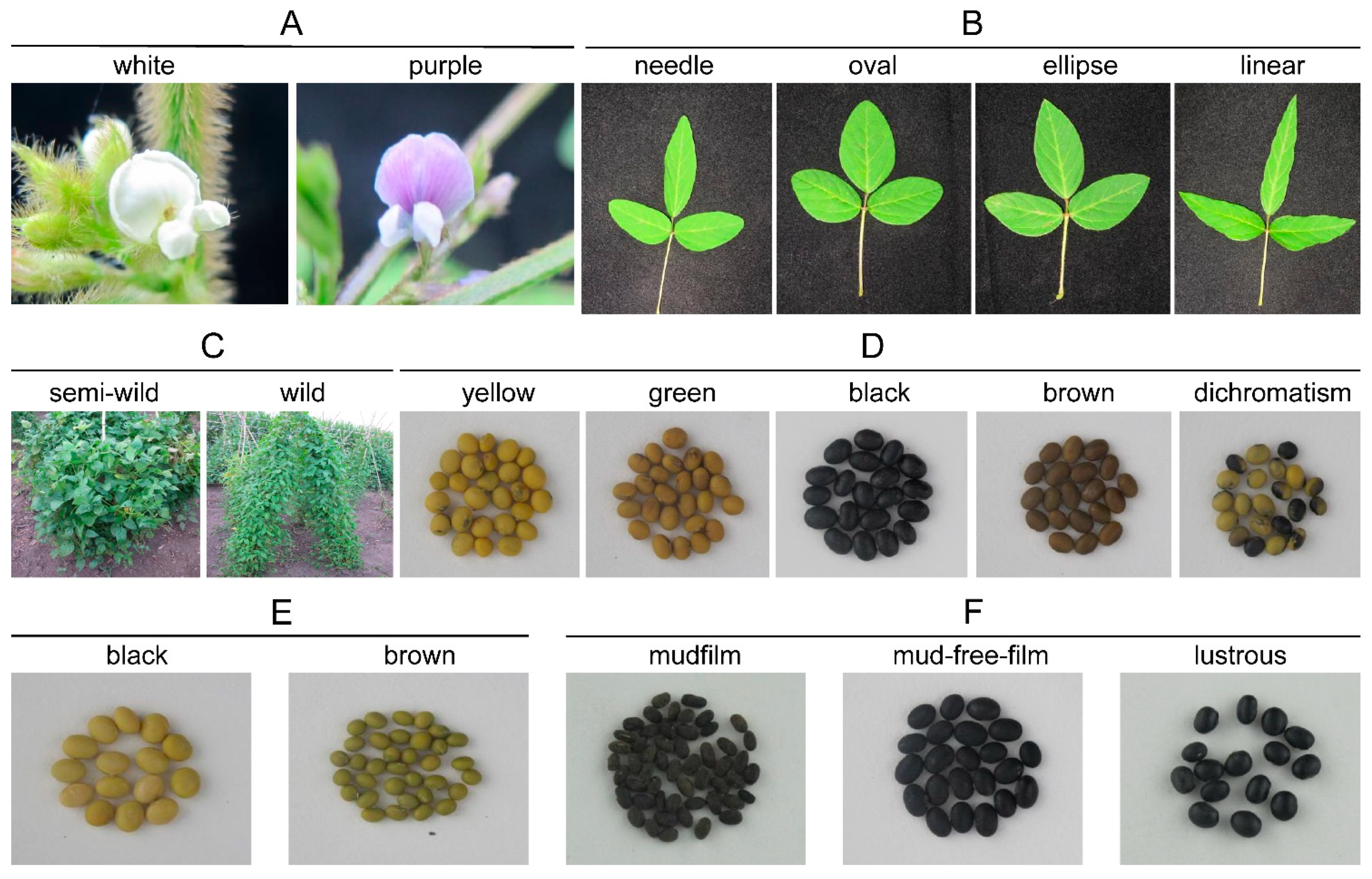 Agronomy 11 00586 g002 Agronomy 11 00586 g002