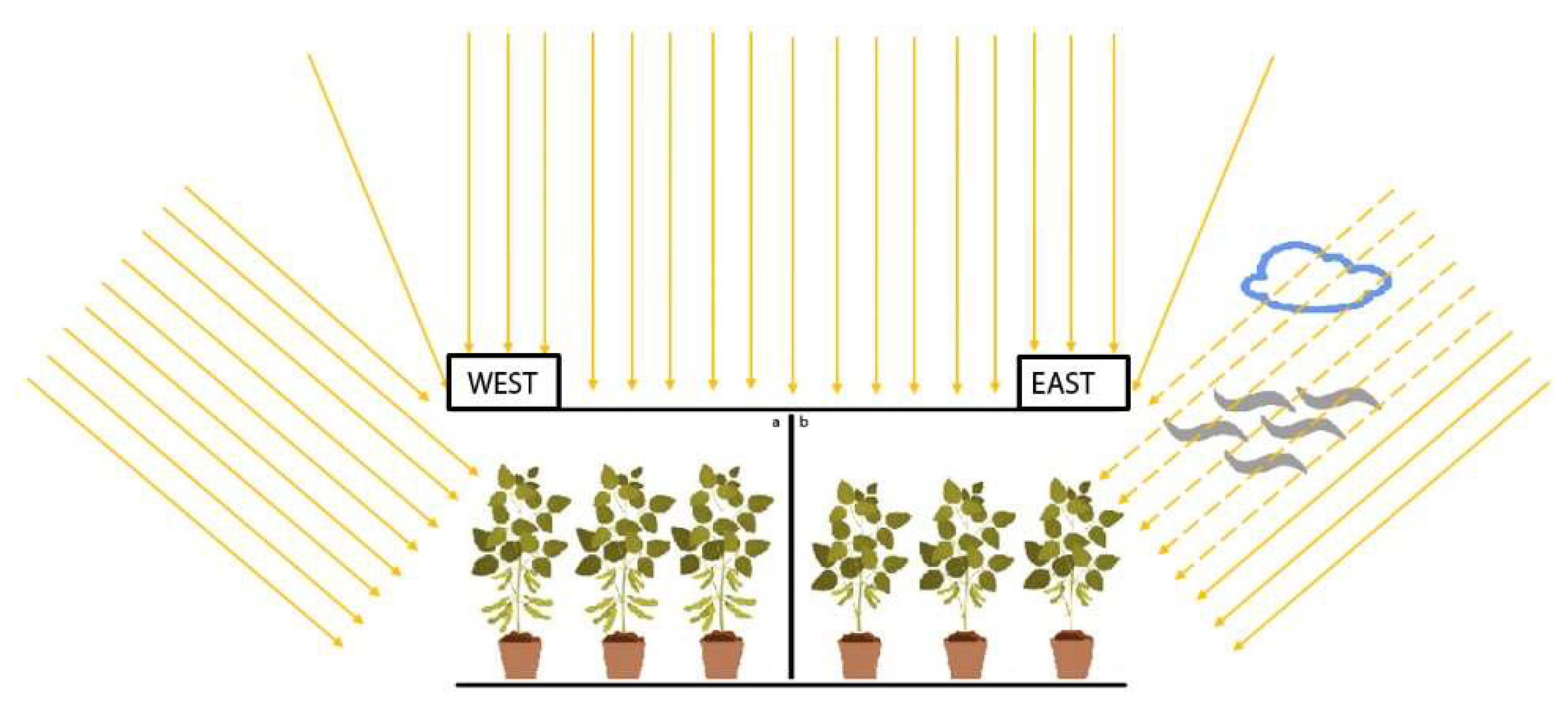 Agronomy 11 00589 g001 Agronomy 11 00589 g001