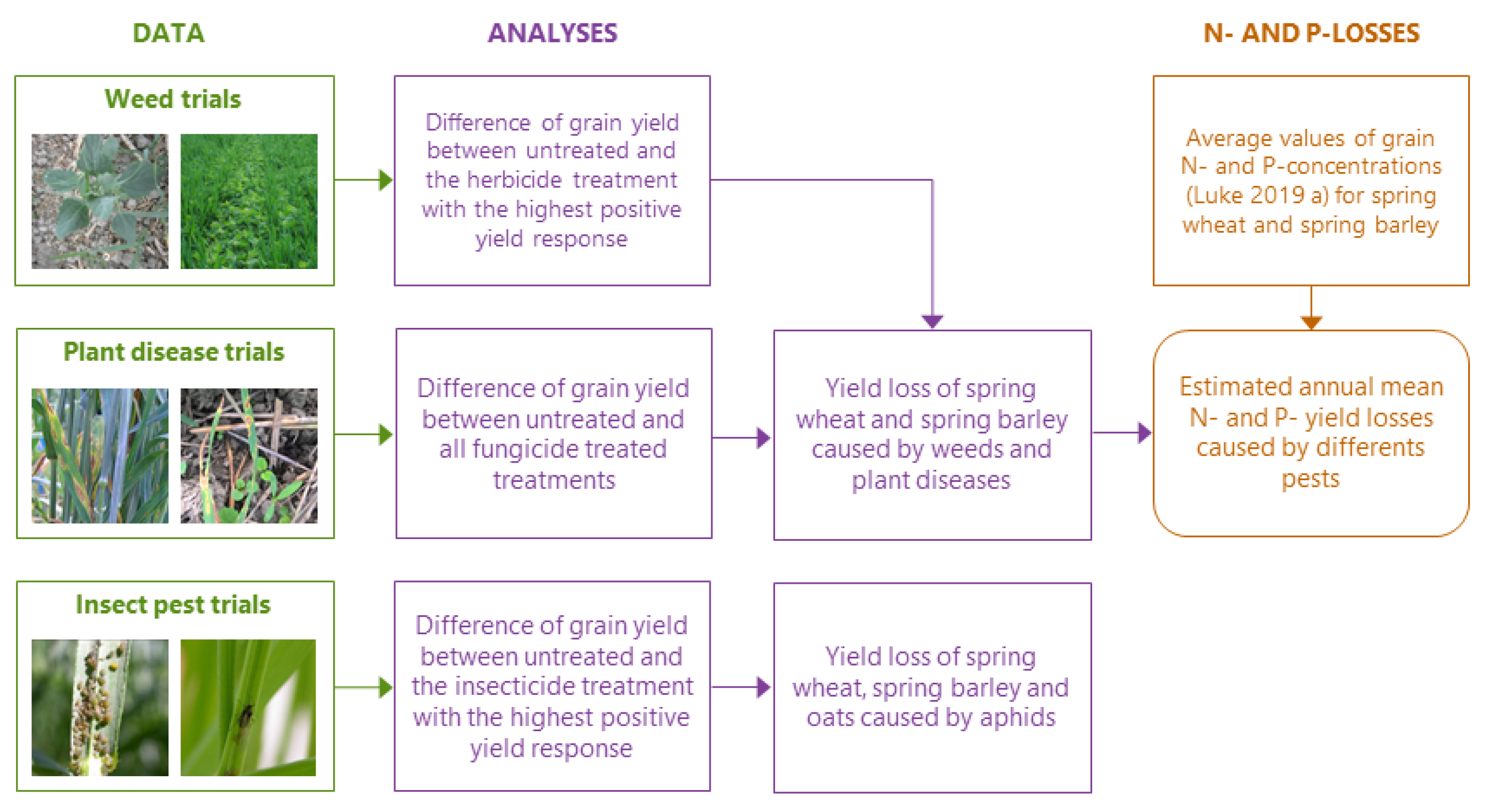 Agronomy 11 00592 g001 Agronomy 11 00592 g001