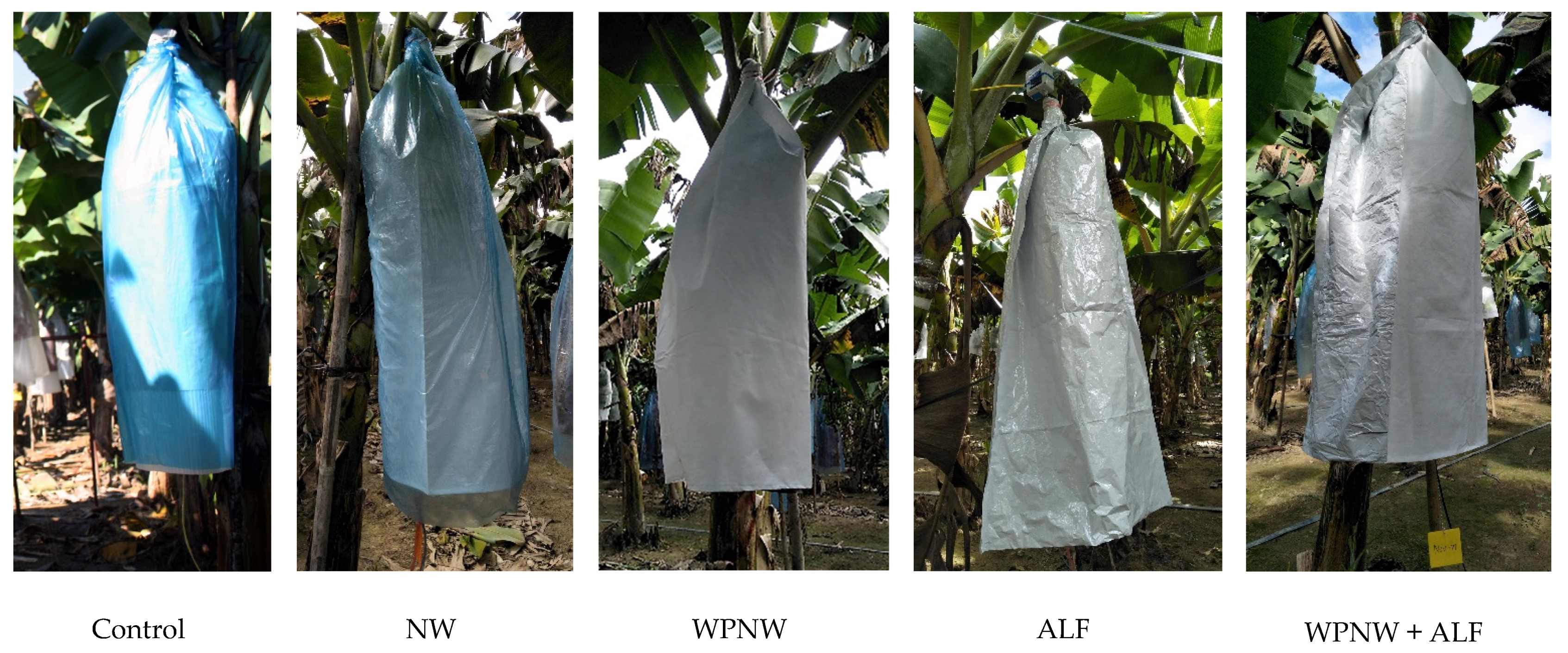 Agronomy 11 00610 g001