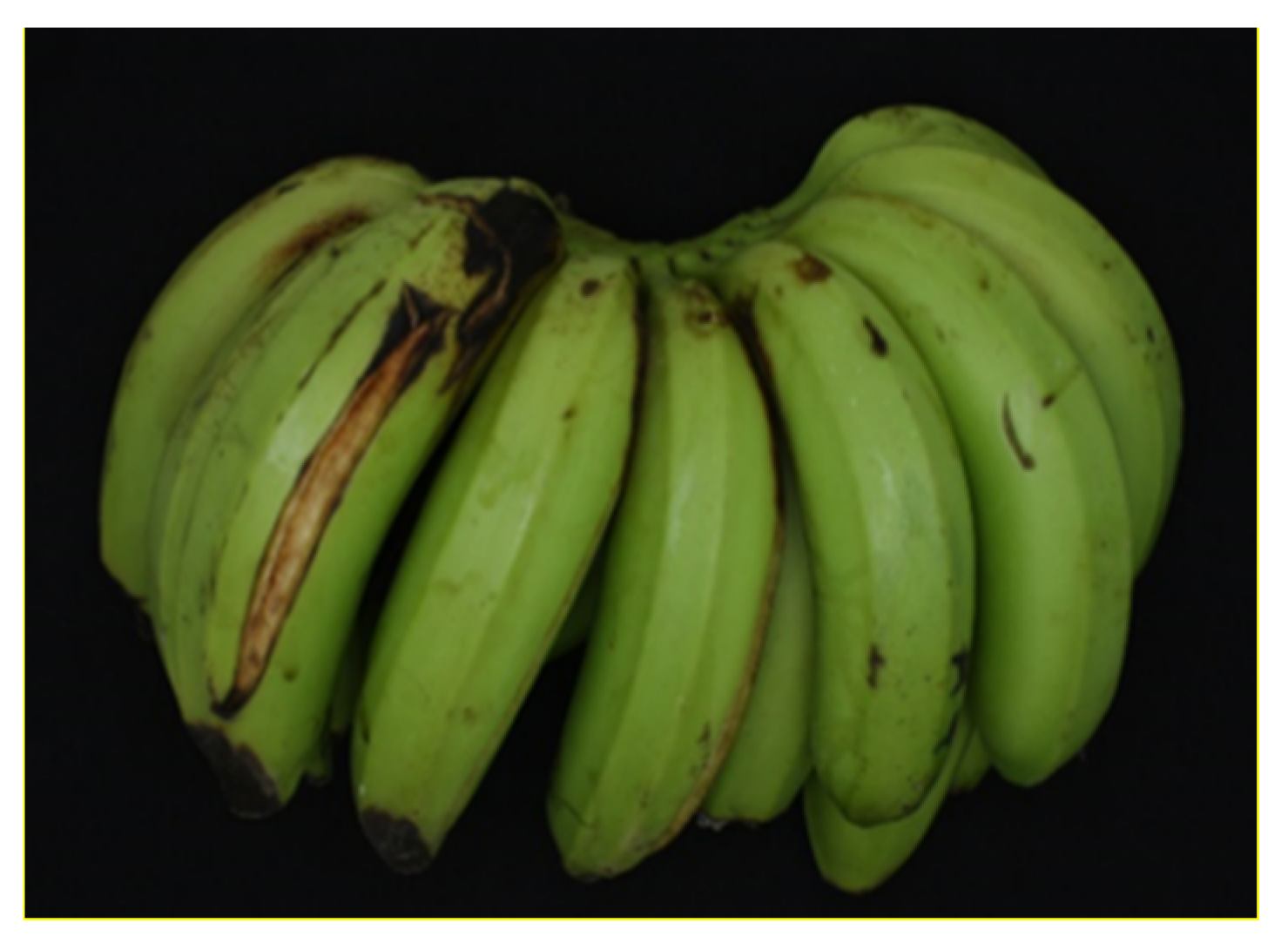 Agronomy 11 00610 g002