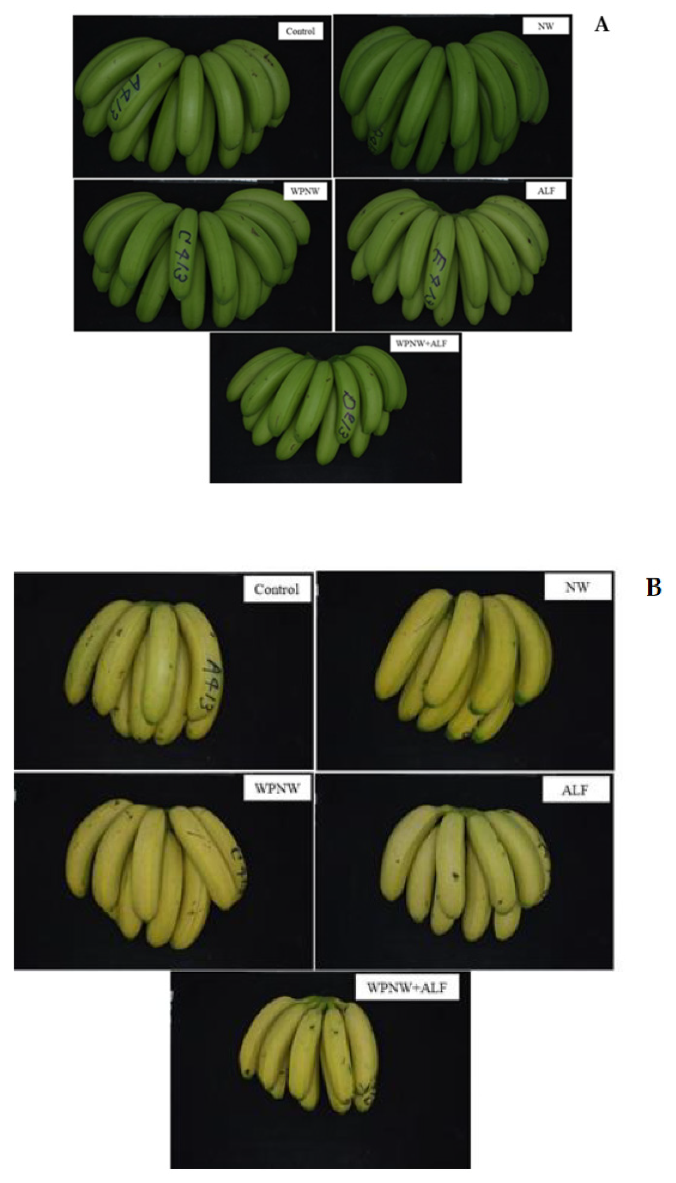 Agronomy 11 00610 g006a