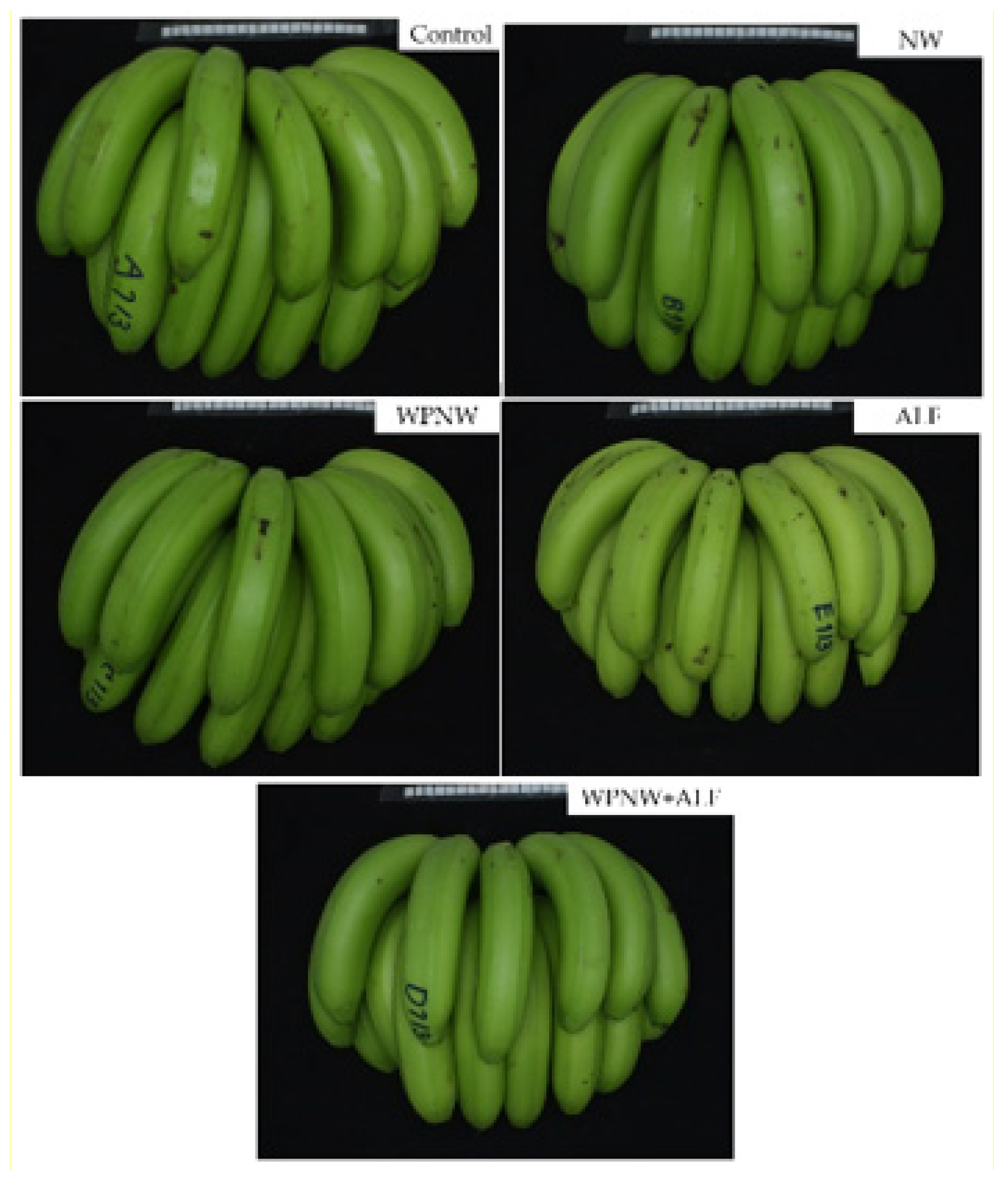 Agronomy 11 00610 g008
