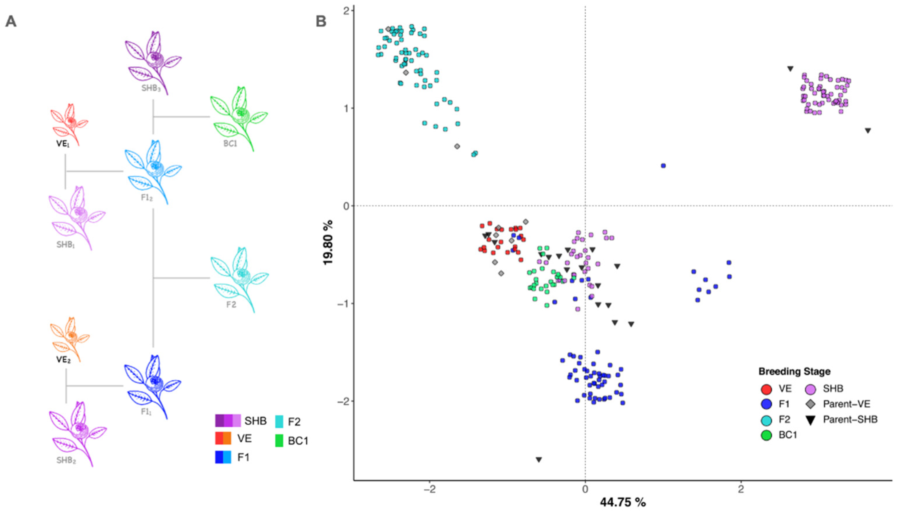 Agronomy 11 00614 g001