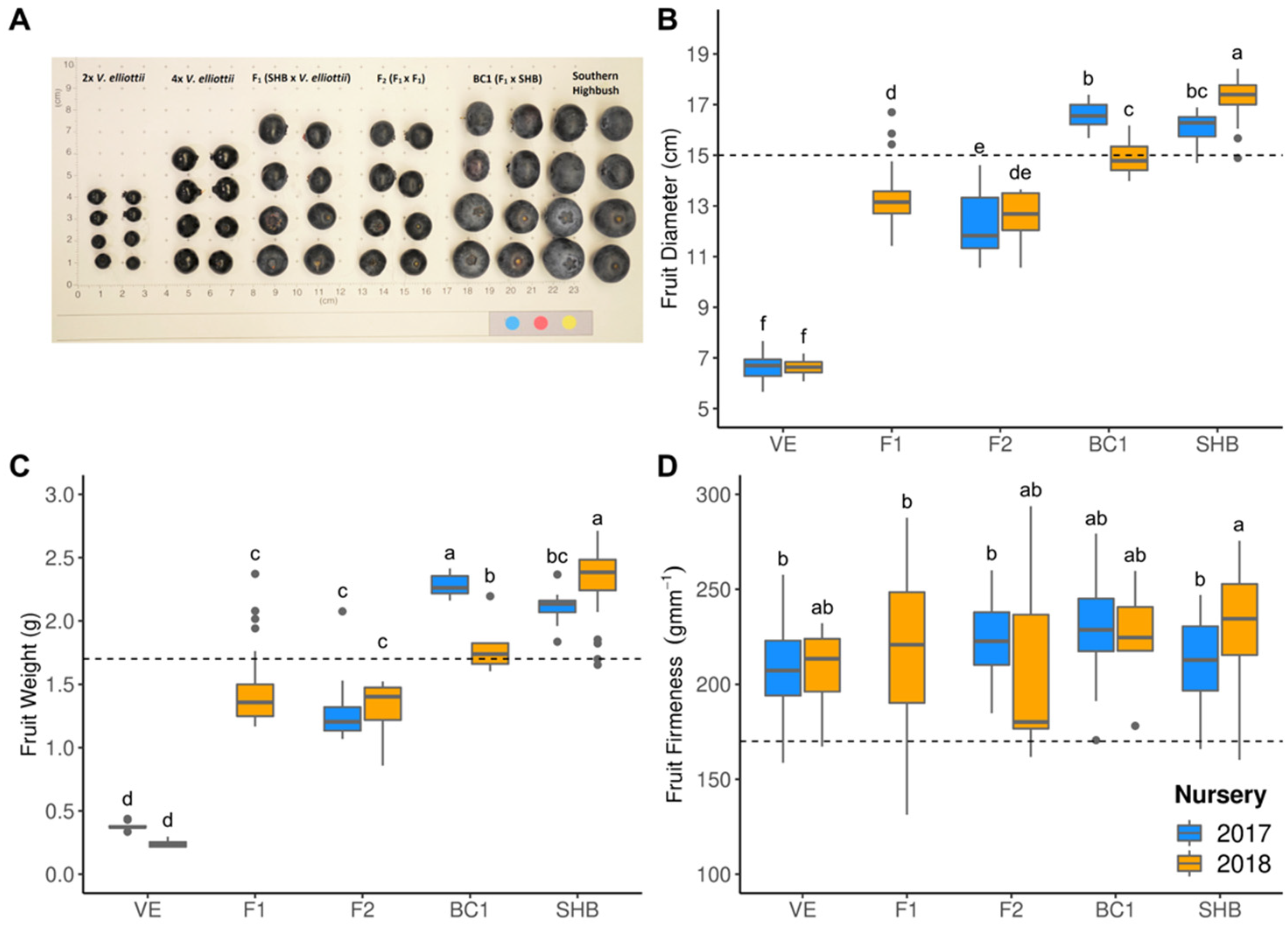 Agronomy 11 00614 g002