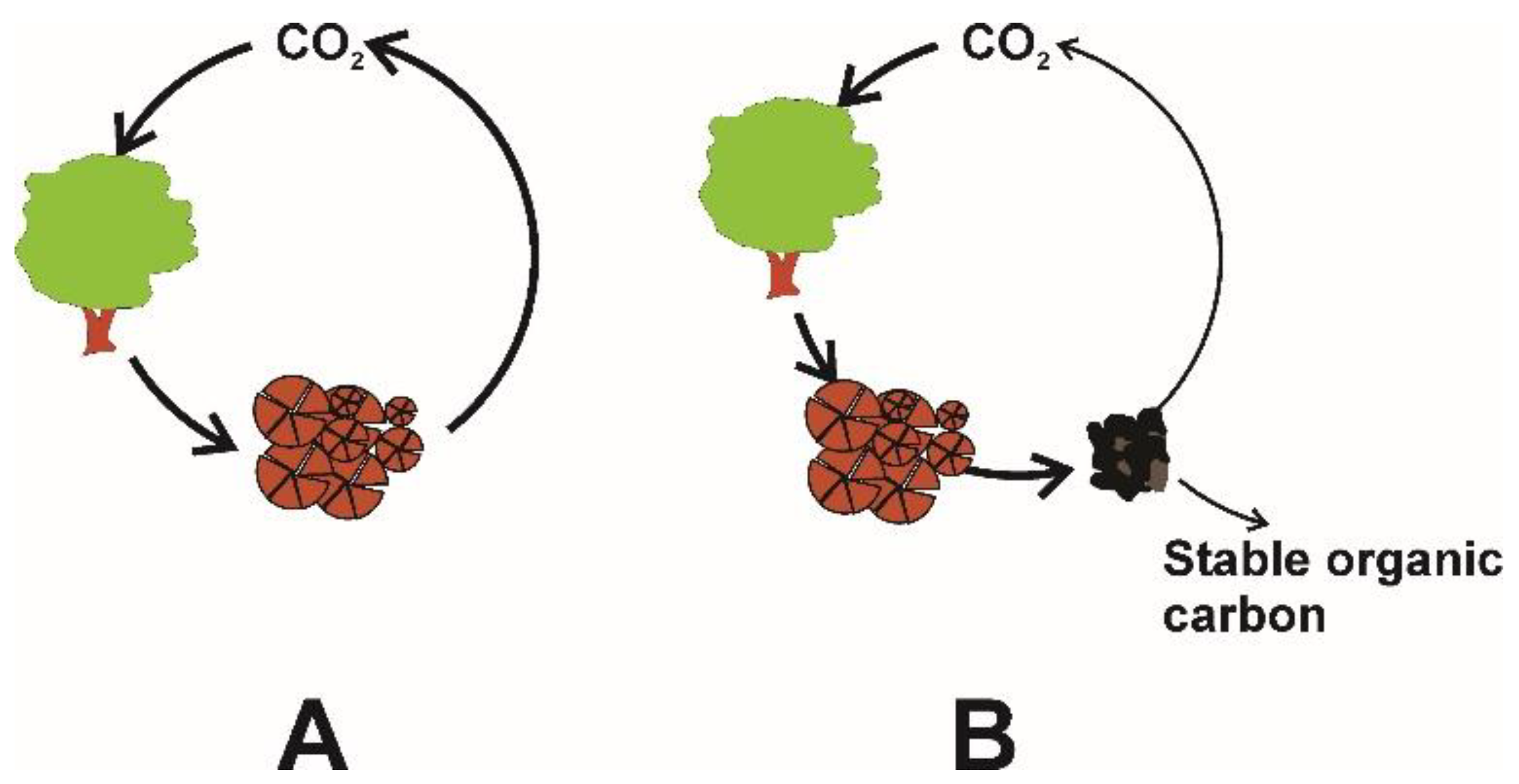 Agronomy 11 00615 g002