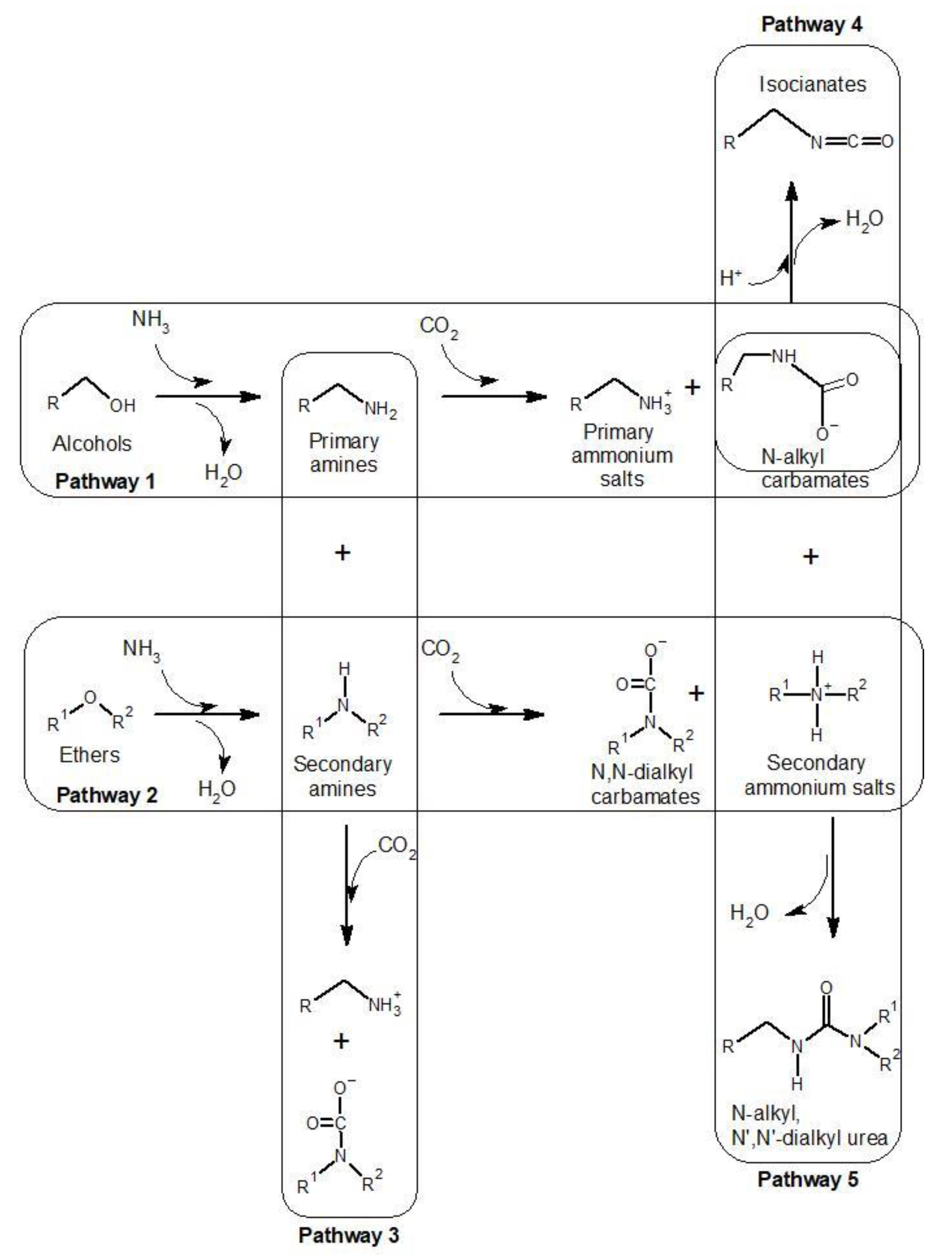 Agronomy 11 00615 g008