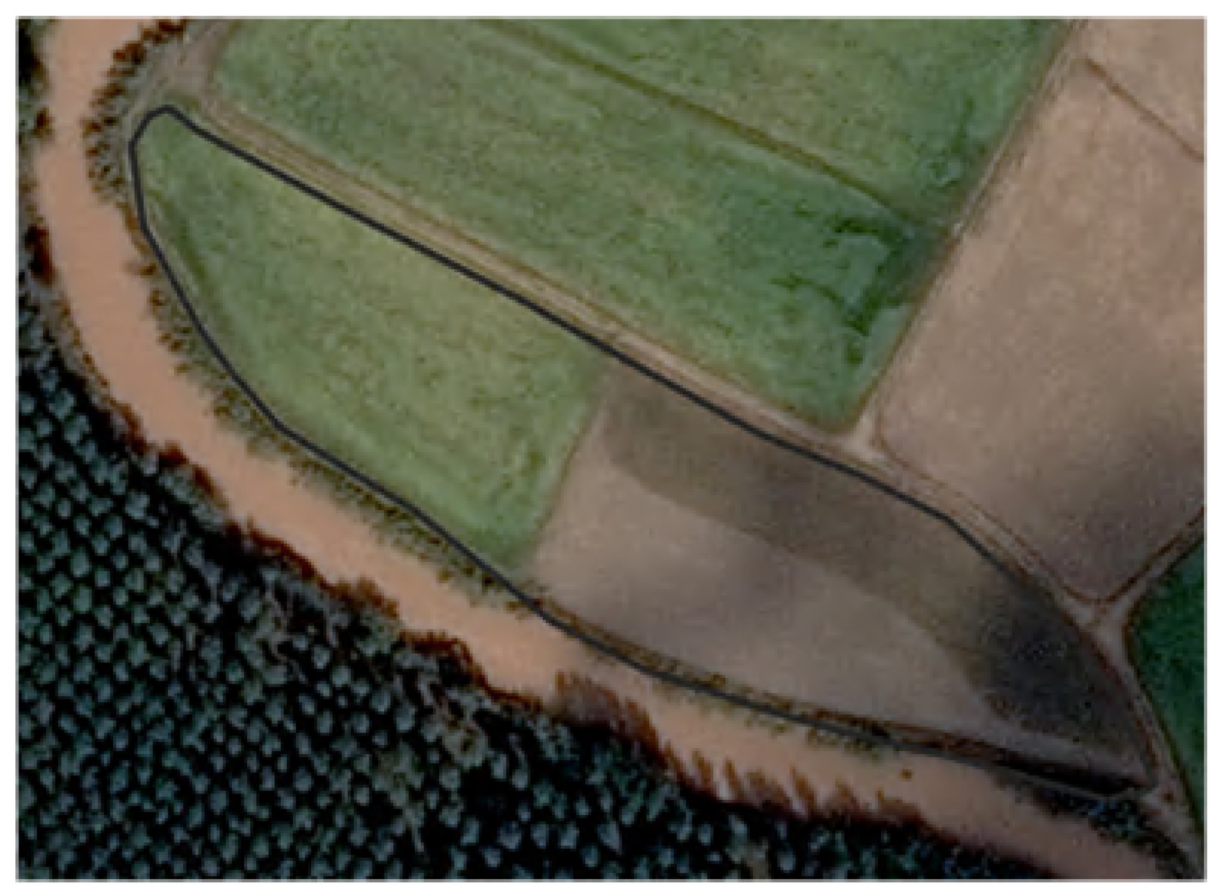 Agronomy 11 00621 g018 Agronomy 11 00621 g018